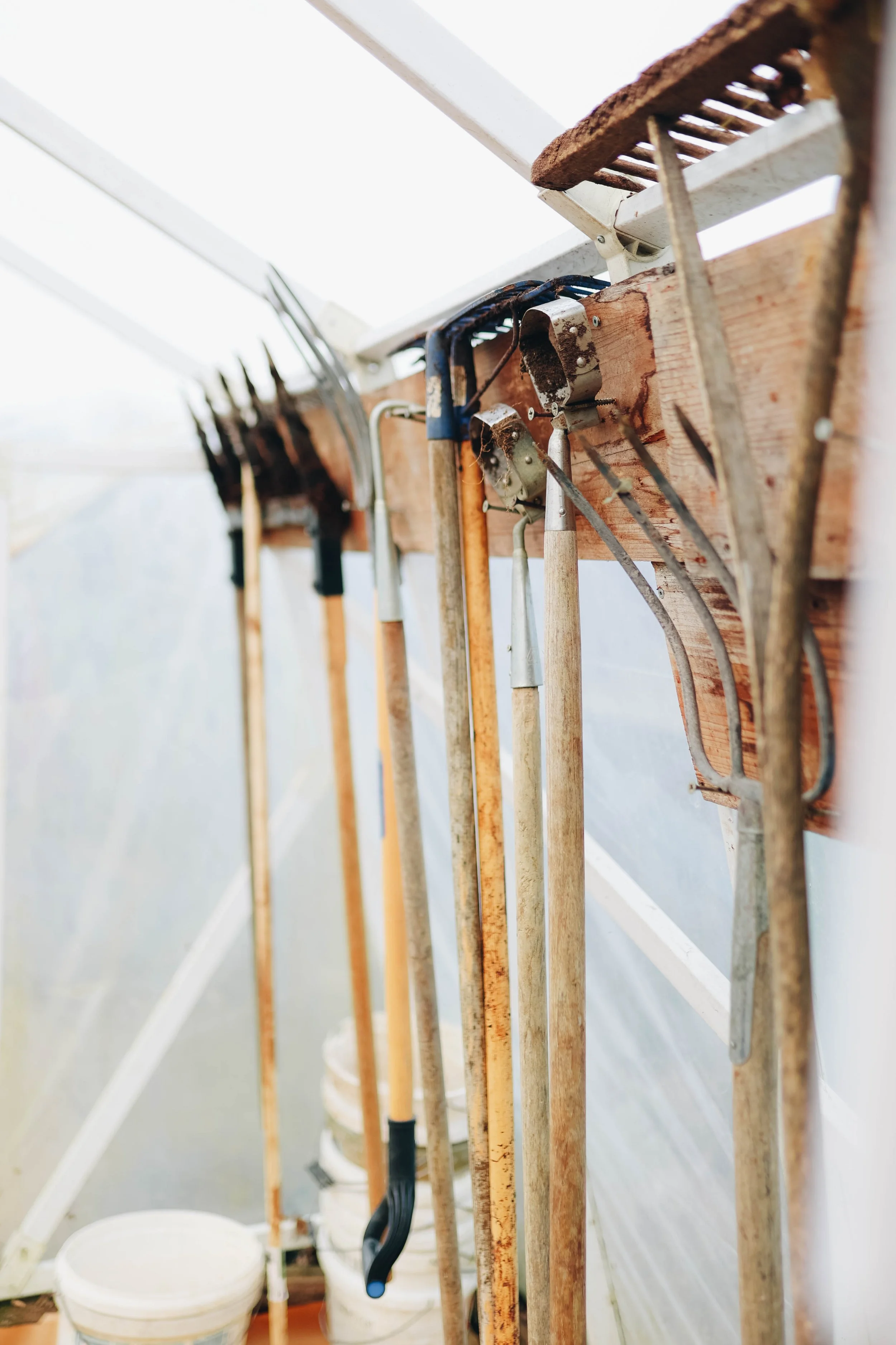 Kmetija Monera 2025 (306).jpg