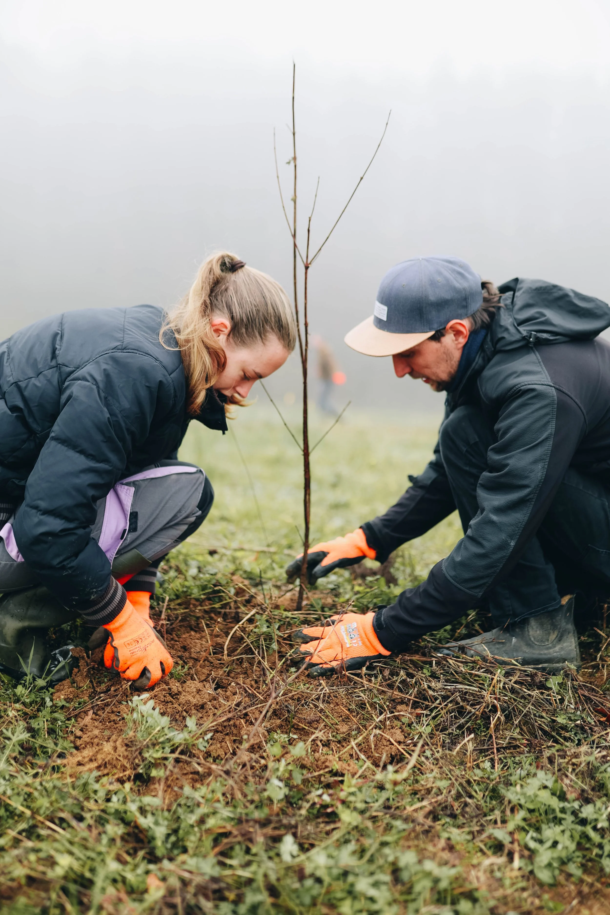 Two people planting a small tree in a foggy outdoor setting, both wearing gloves and dark outdoor clothing.