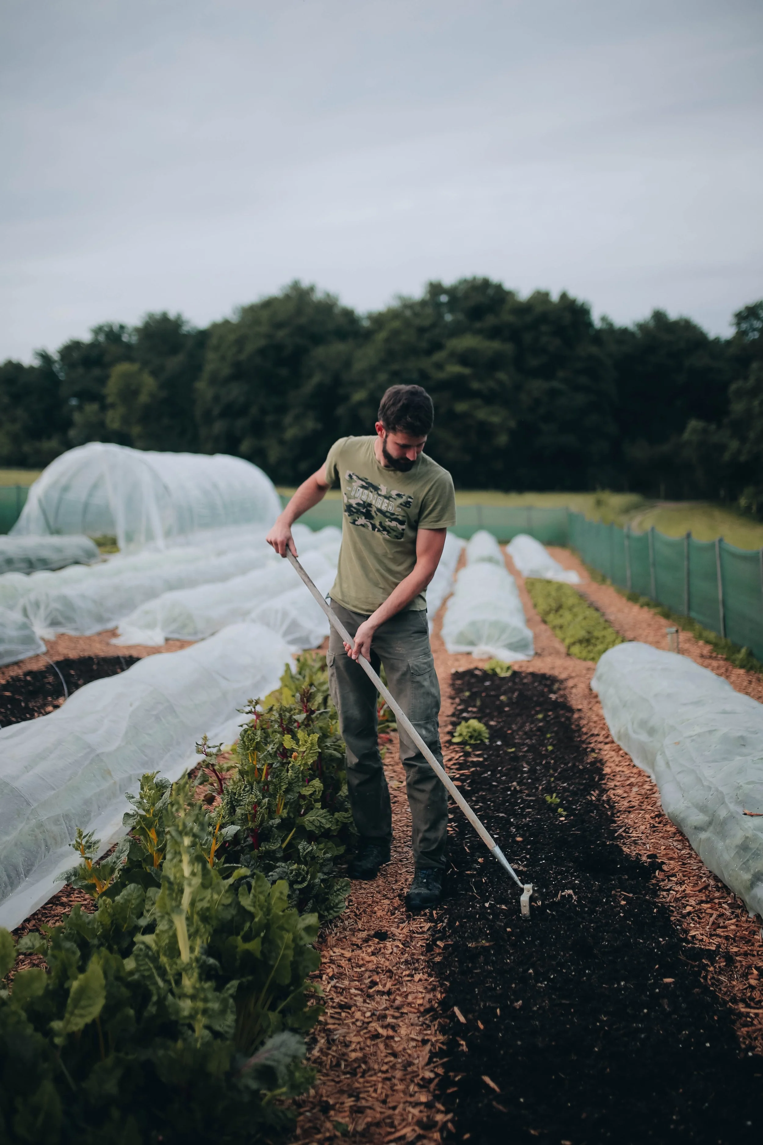 A man gardening on a farm with rows of protected crops and a green background, planting or tending to plants.