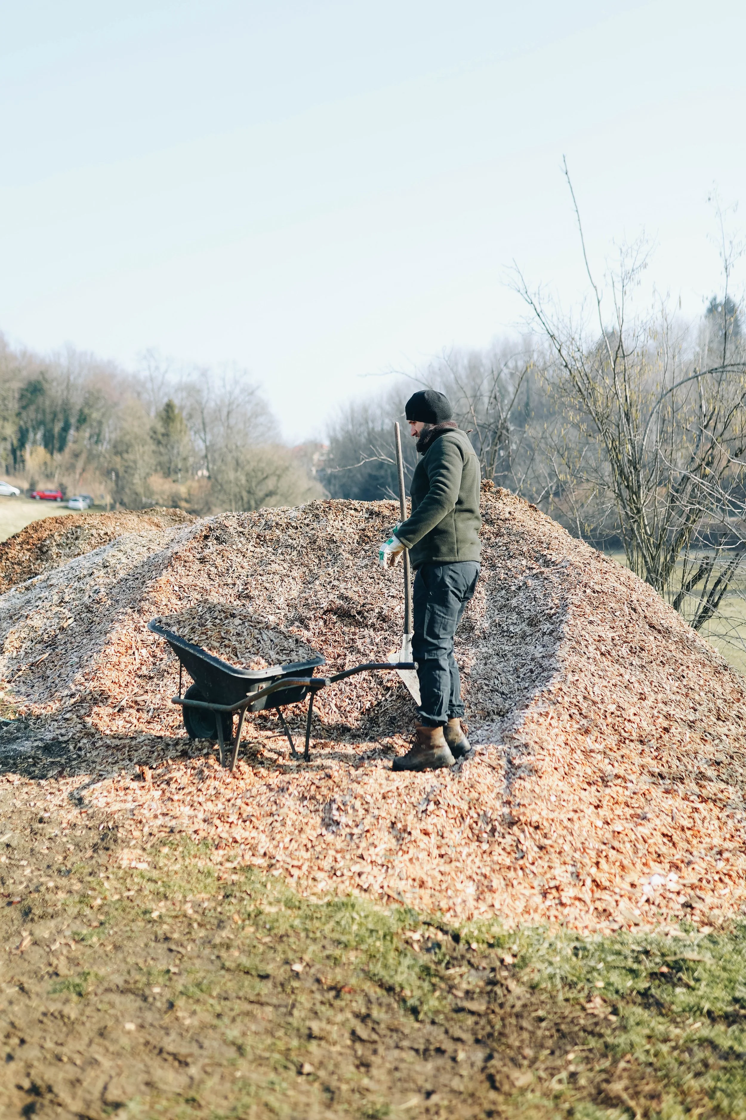 A man stands on a large pile of wood chips or mulch outdoors, holding a rake, with a wheelbarrow nearby, during daytime.