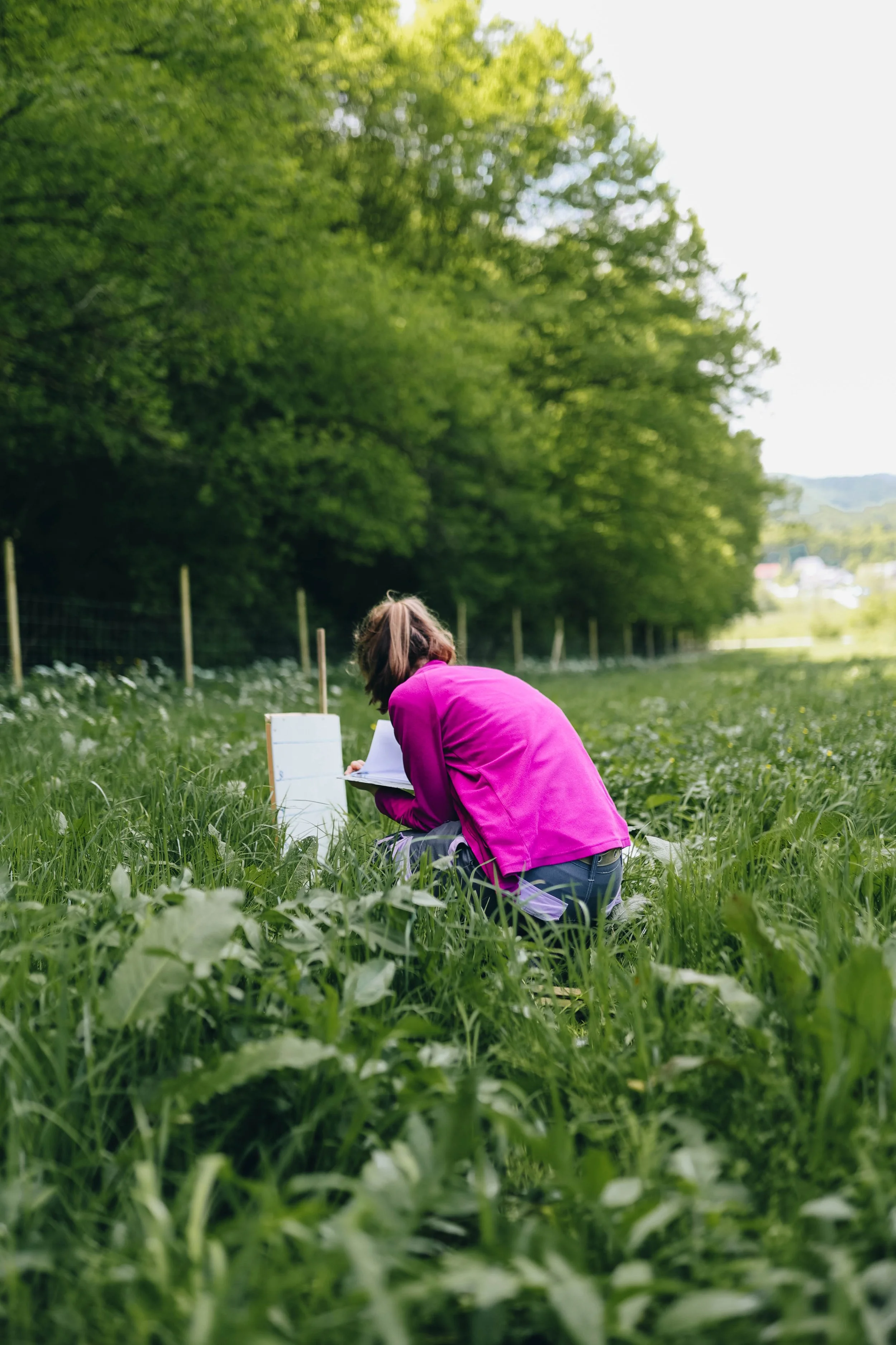 Person sitting on the grass in a lush green field, writing or drawing on a notebook with a small easel nearby, surrounded by trees and open sky.