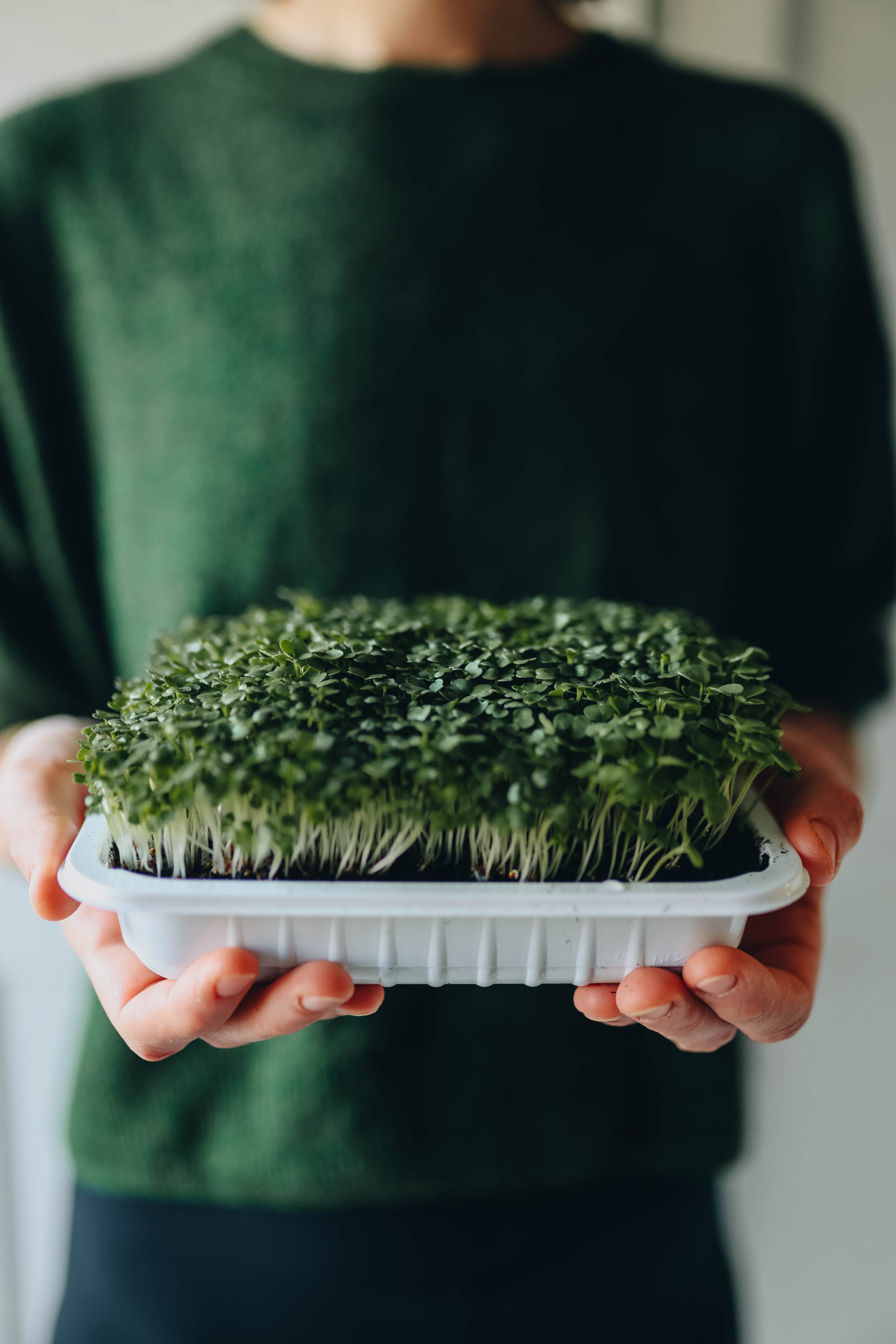 Kmetija Monera 2025 (1844).jpg