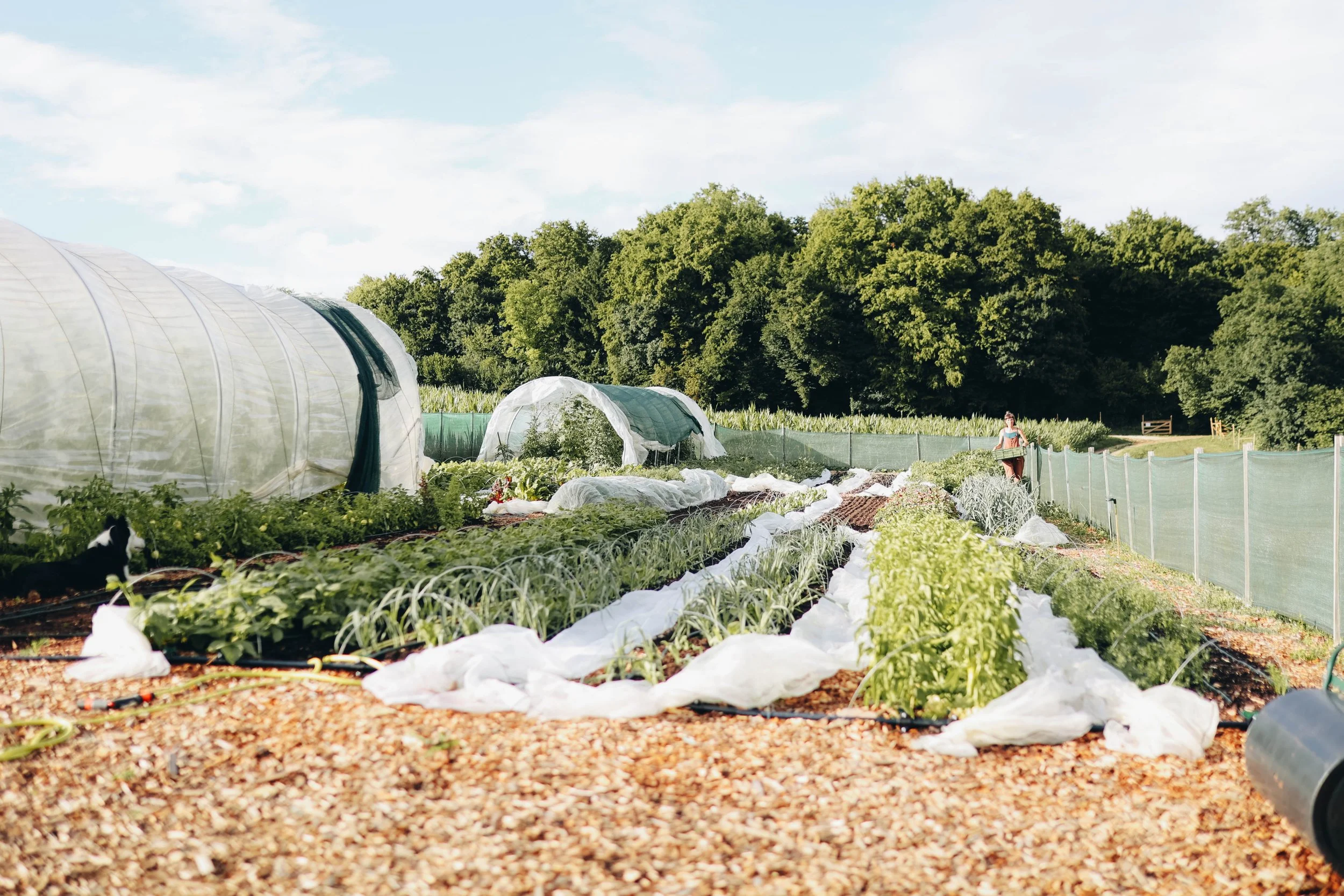 Kmetija Monera 2025 (1224).jpg