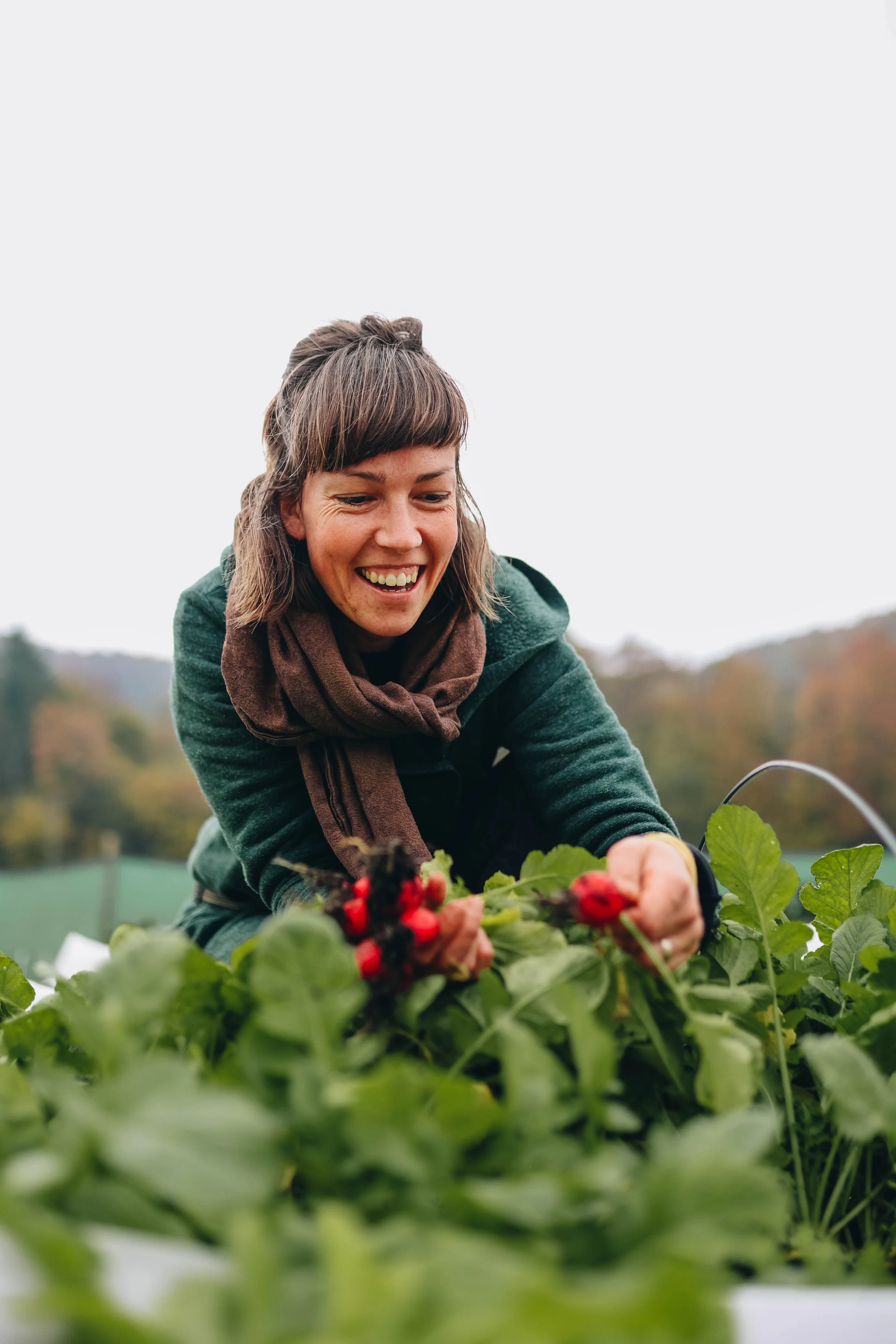 A woman harvesting ripe berries from a lush green plant in a garden or farm, smiling happily.