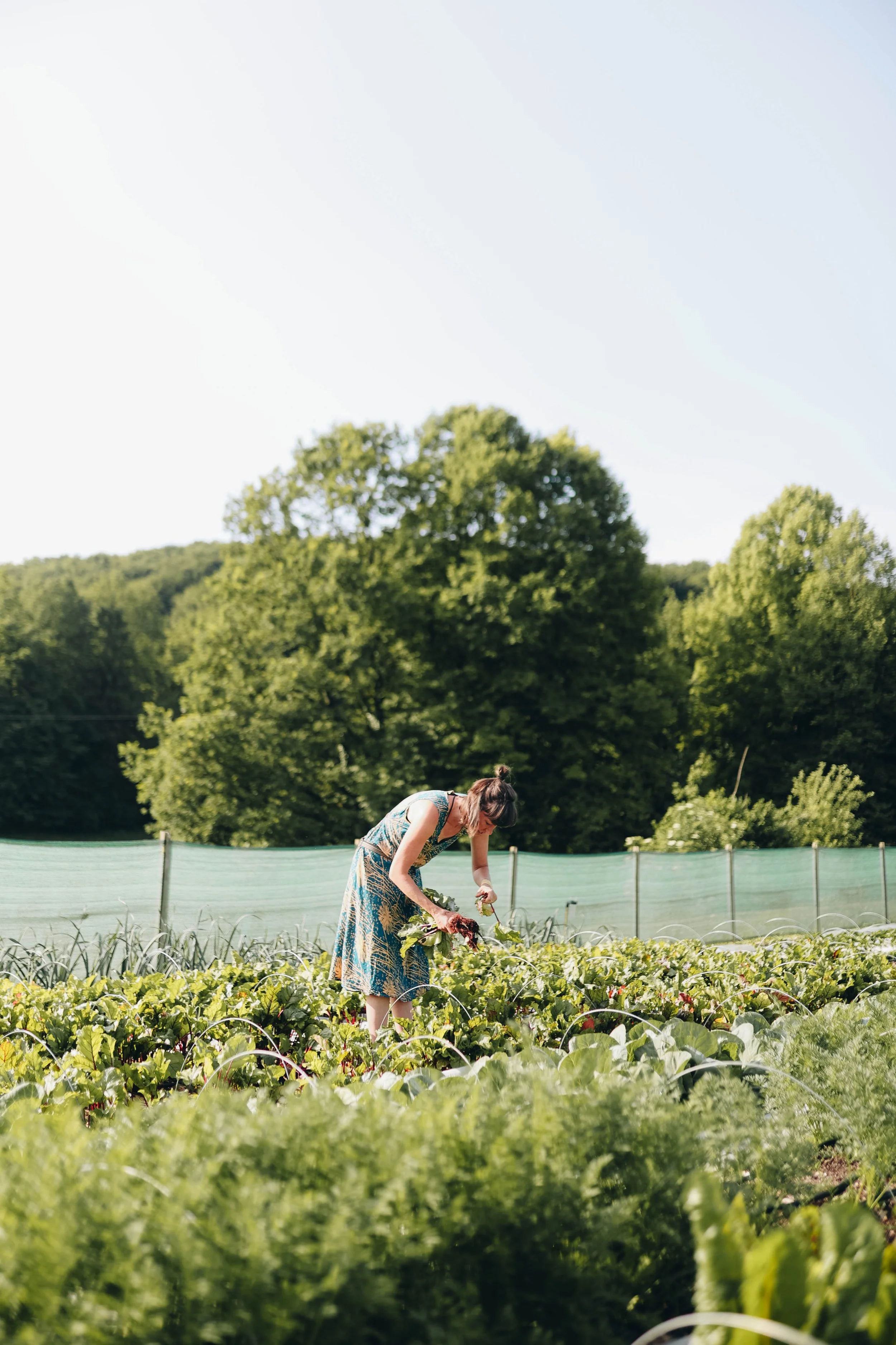 Kmetija Monera 2025 (1066).jpg