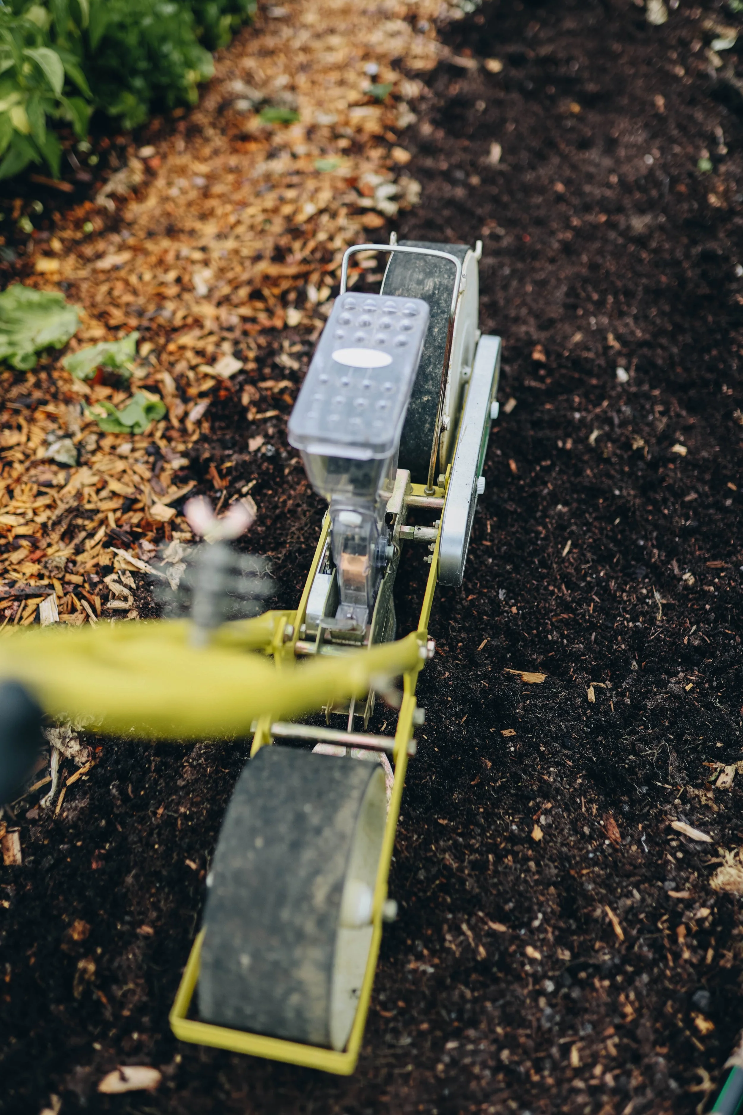 A small yellow garden tiller on dark soil in a garden bed.