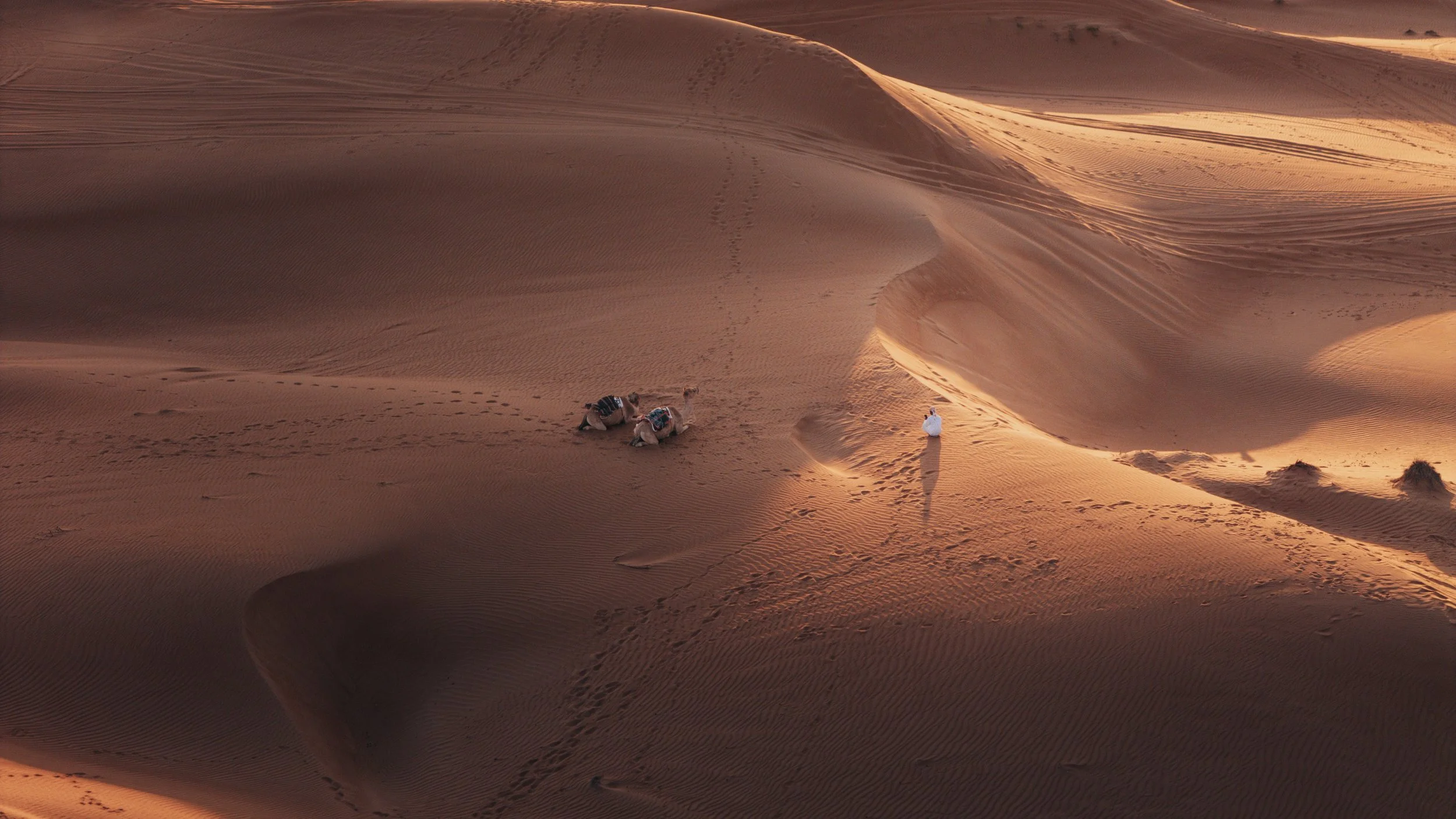 DJI_20260110141619_0376_D.jpg