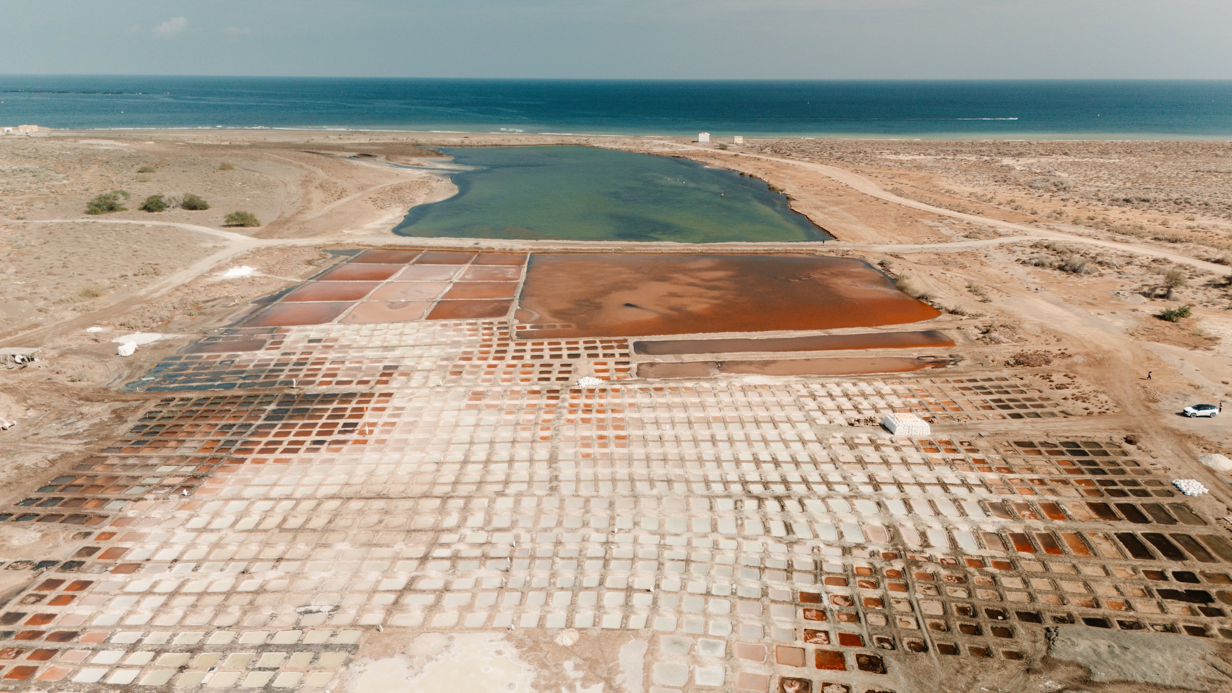 DJI_20260111082417_0377_D.jpg
