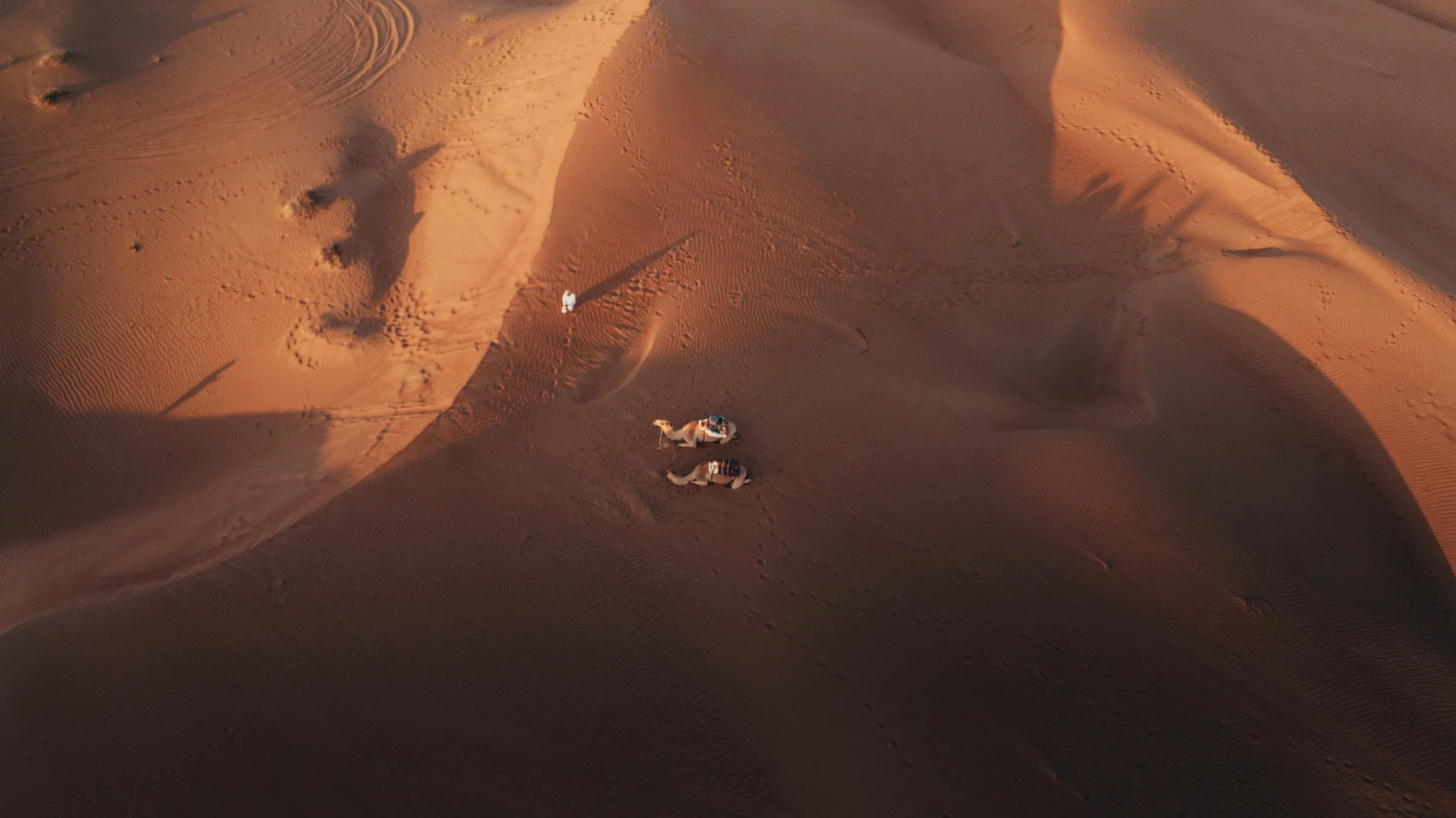 DJI_20260110141423_0372_D.jpg