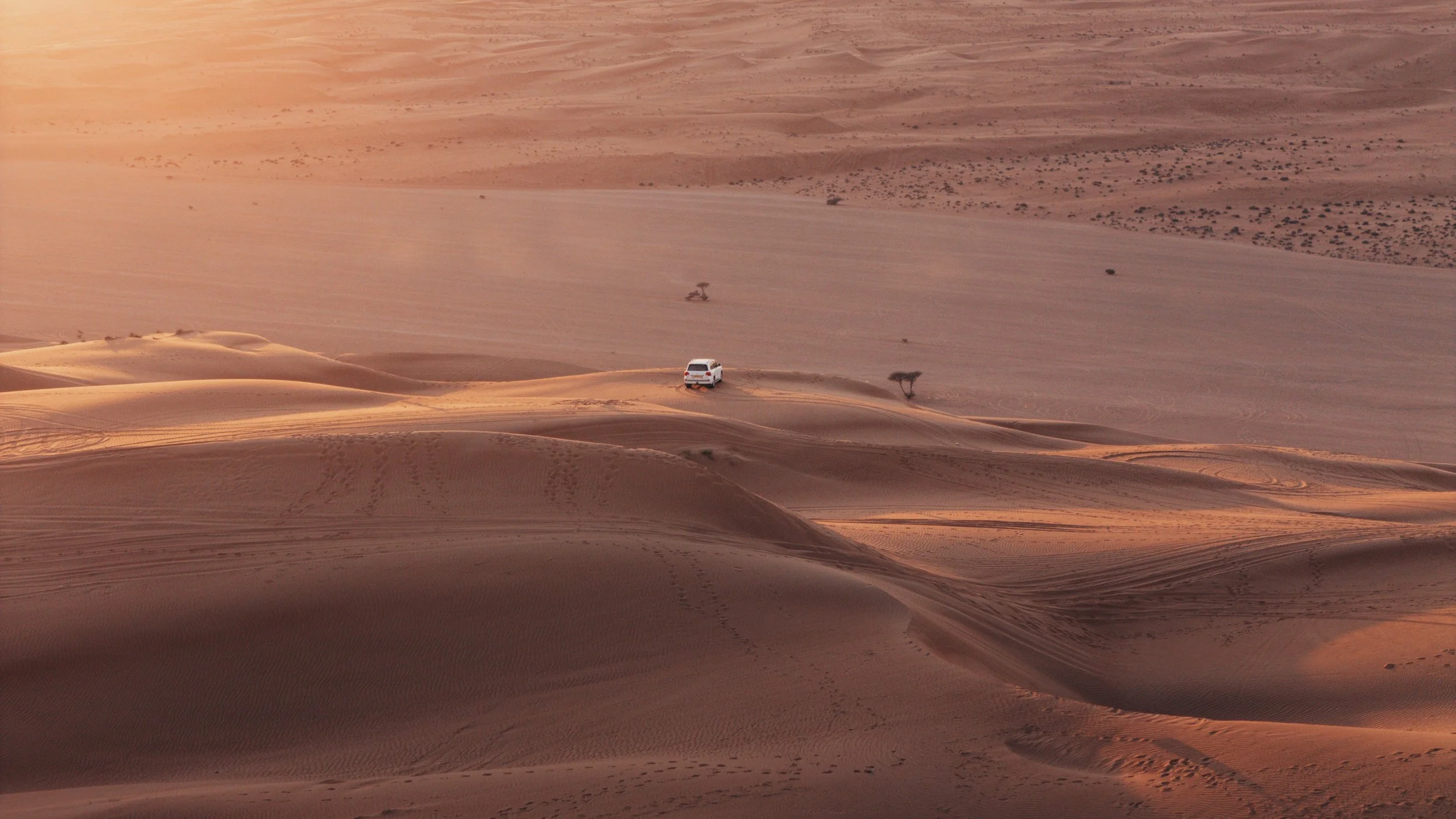 DJI_20260110142346_0383_D.jpg