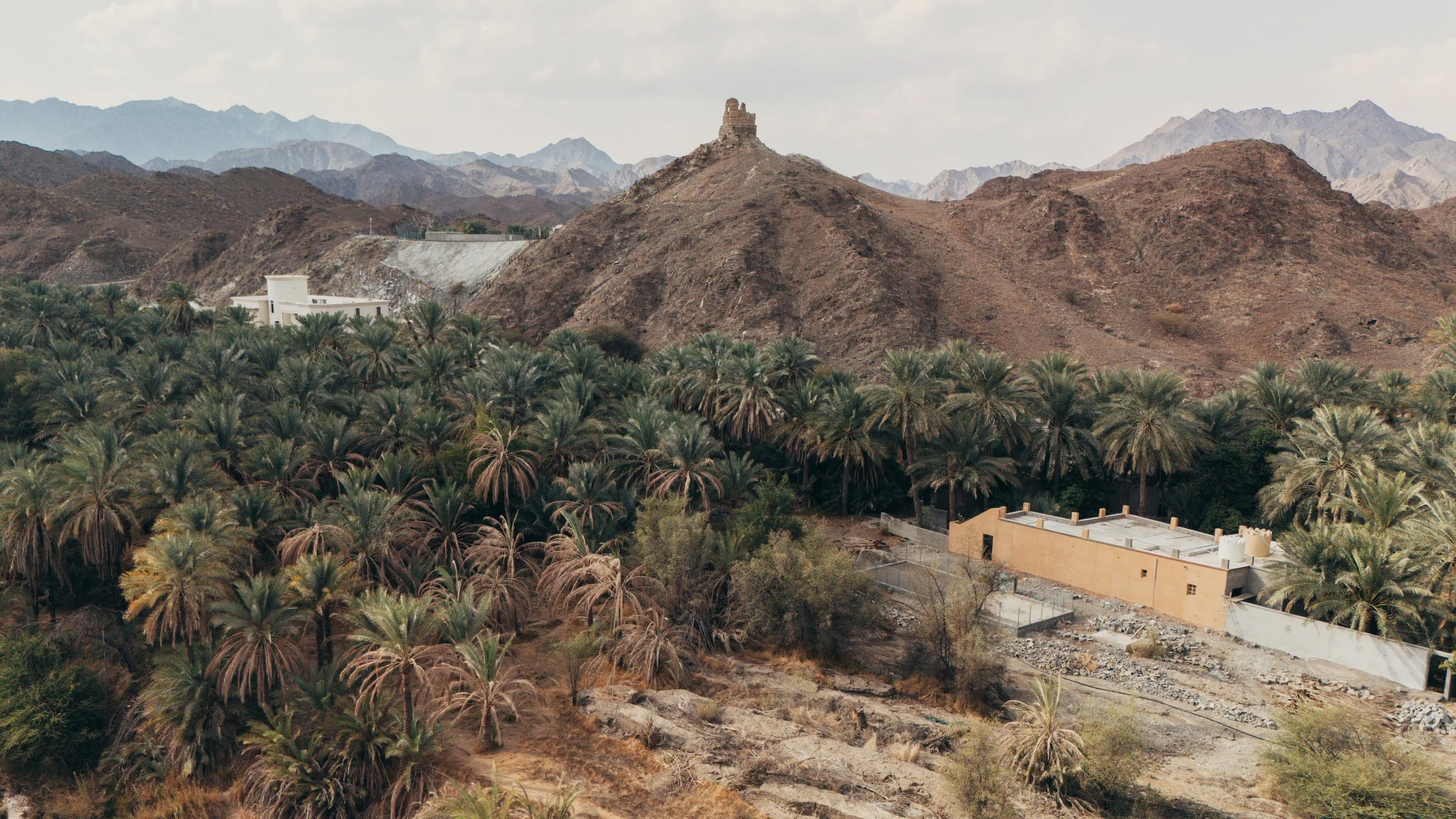DJI_20260111114618_0436_D.jpg