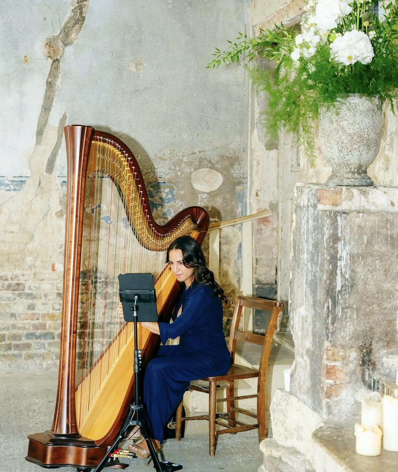 Harp.jpg