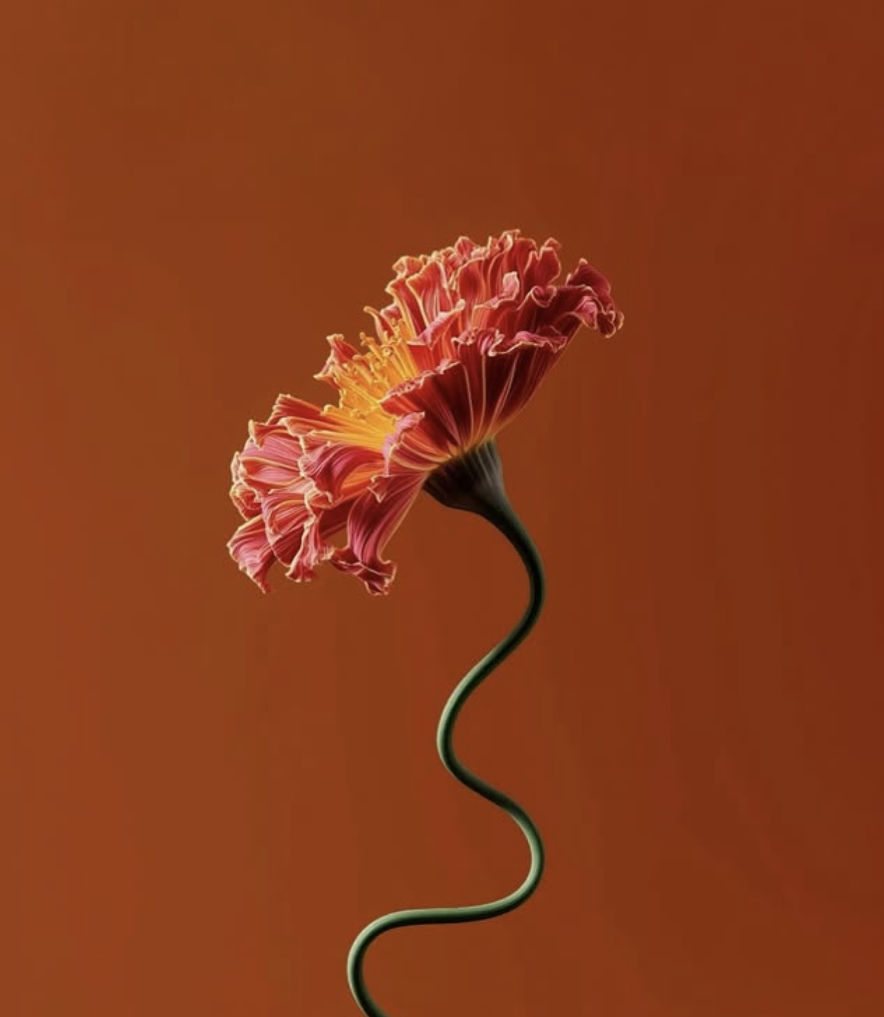 Screenshot 2025-11-12 at 11.04.24.png