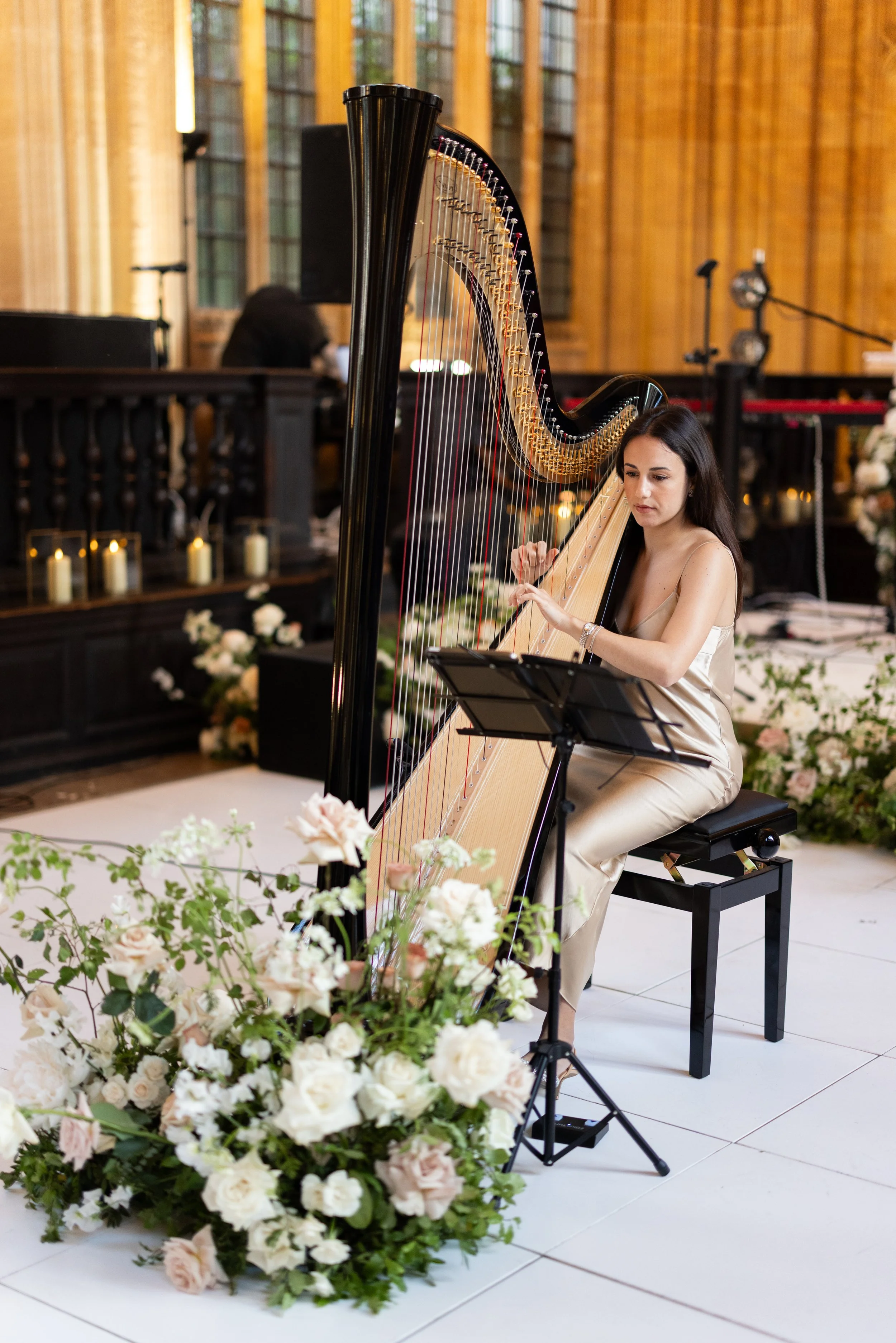 Harp.JPG