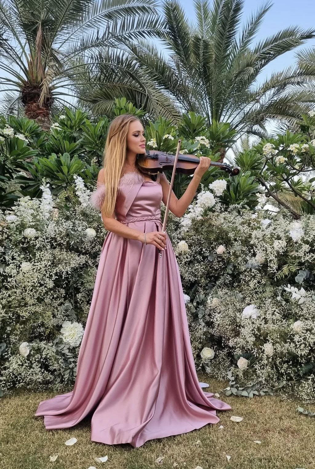 Violin.jpg