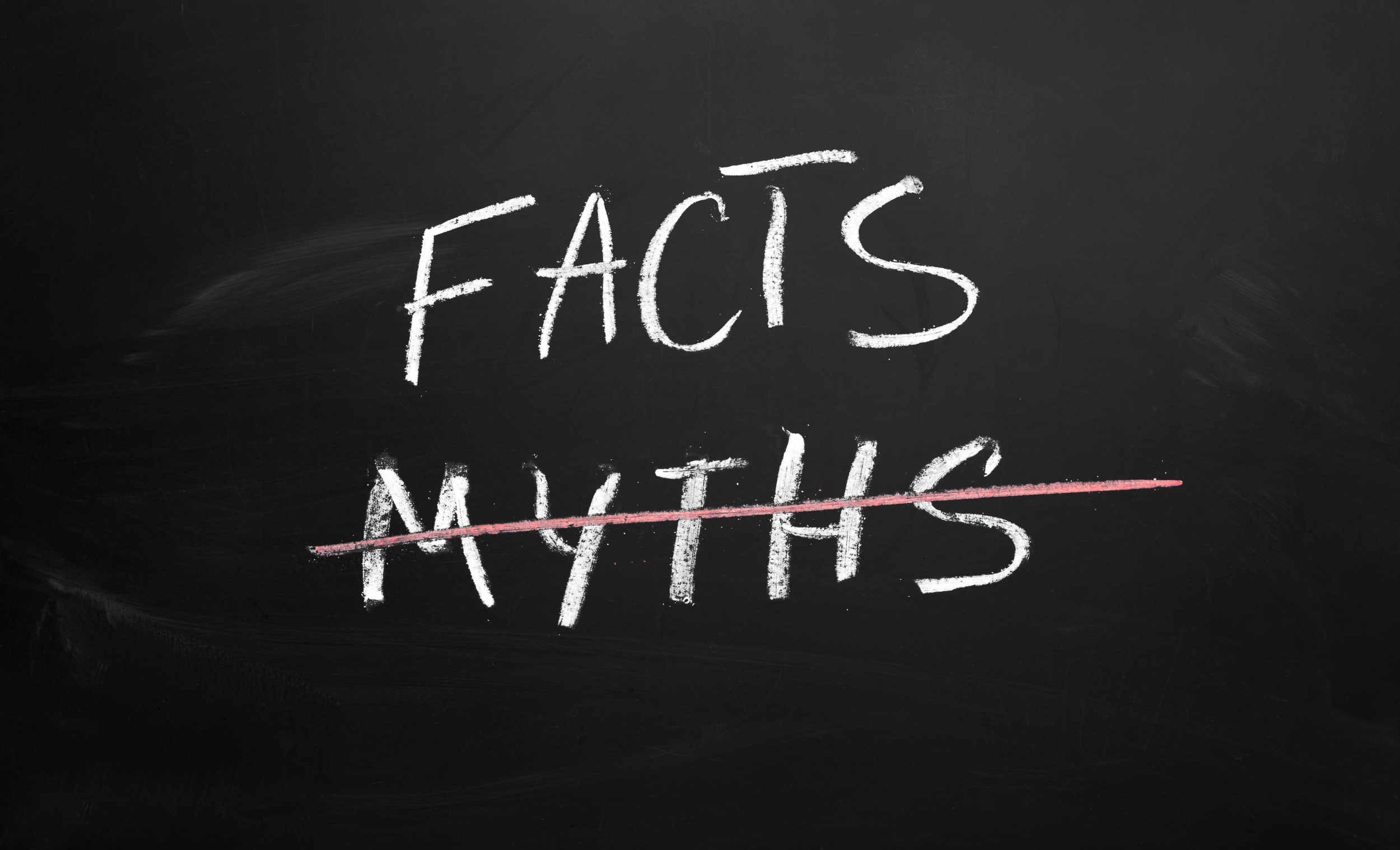 онли фактс надпись. Only fact. онли факты. онли фактс надпись. факт без фона.