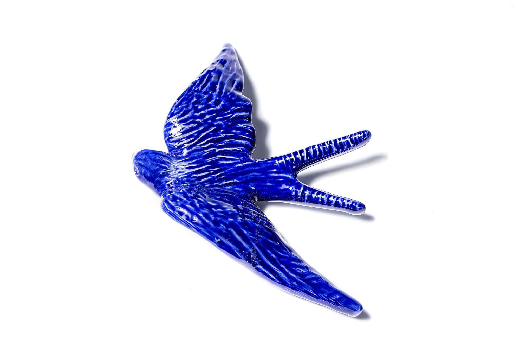 andorinha azul 3 copiar.jpg