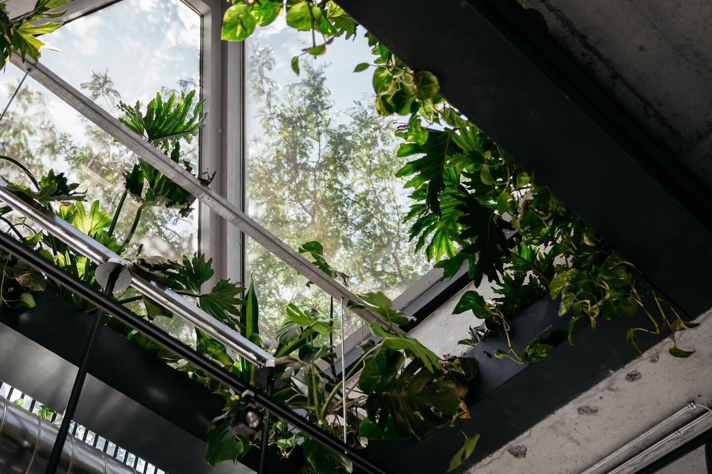 Spring has officially sprung! Book an early dinner to soak up the natural light beaming through our floor to ceiling windows. Reservation link in bio.
.
Le printemps est officiellement arriv&eacute;! R&eacute;servez avant le coucher du soleil pour vo