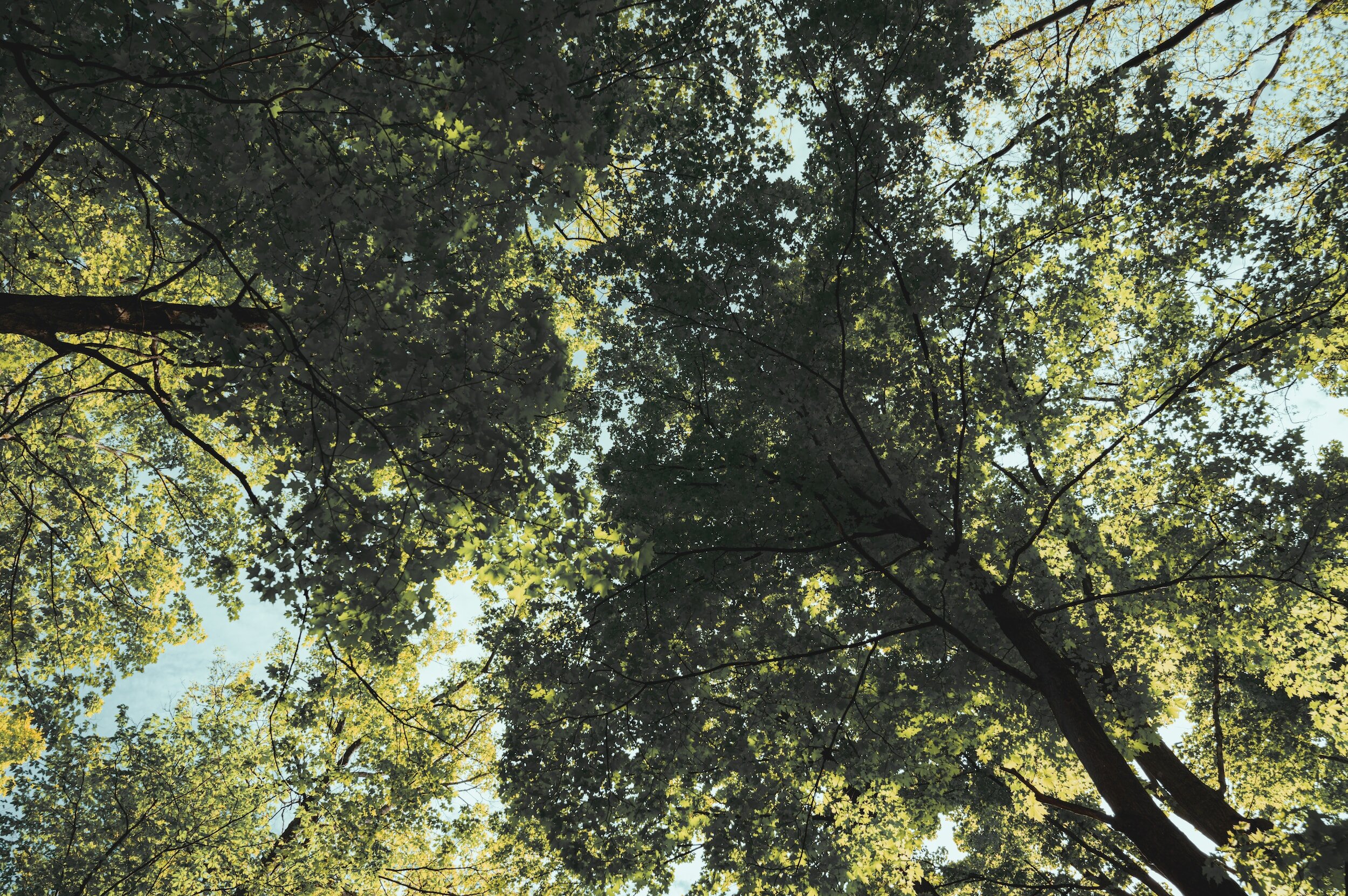SUNDAY GARDEN SESSIONS: Storytelling inspired by nature