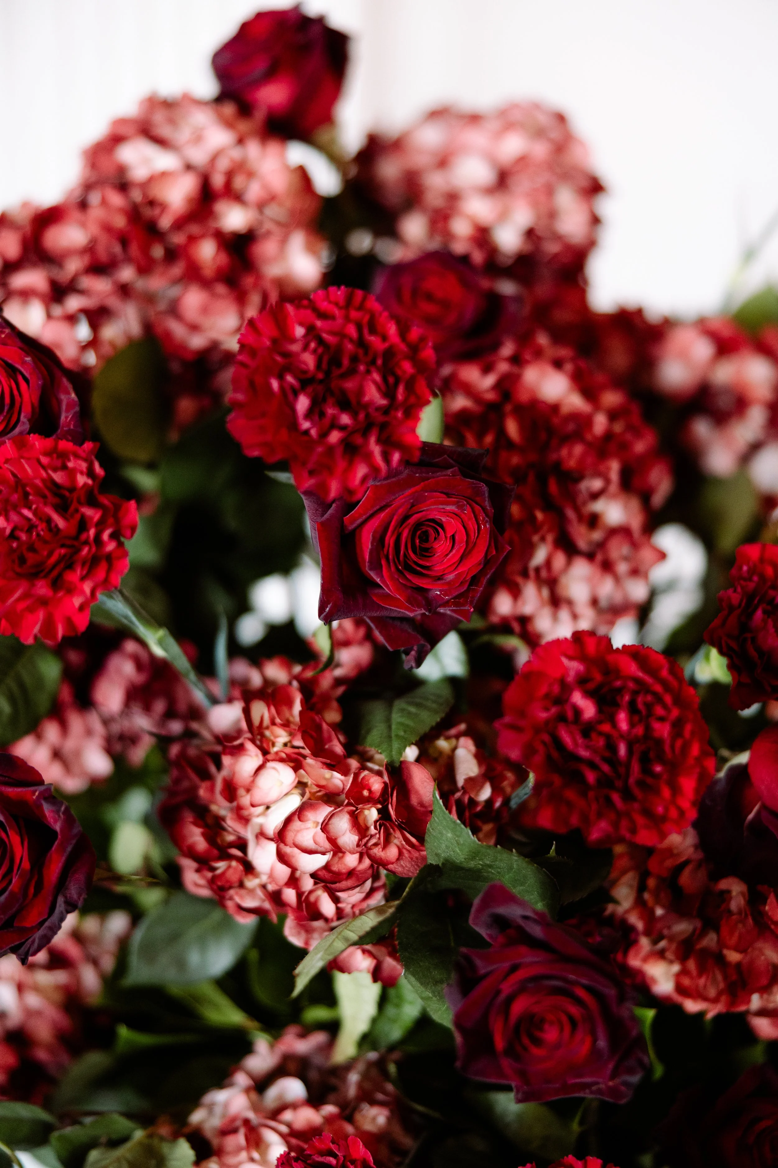 Maria & Andrew, To Love & Dancing, BB, BVT Band, AMG Beuaty Bar (28) (2).jpg