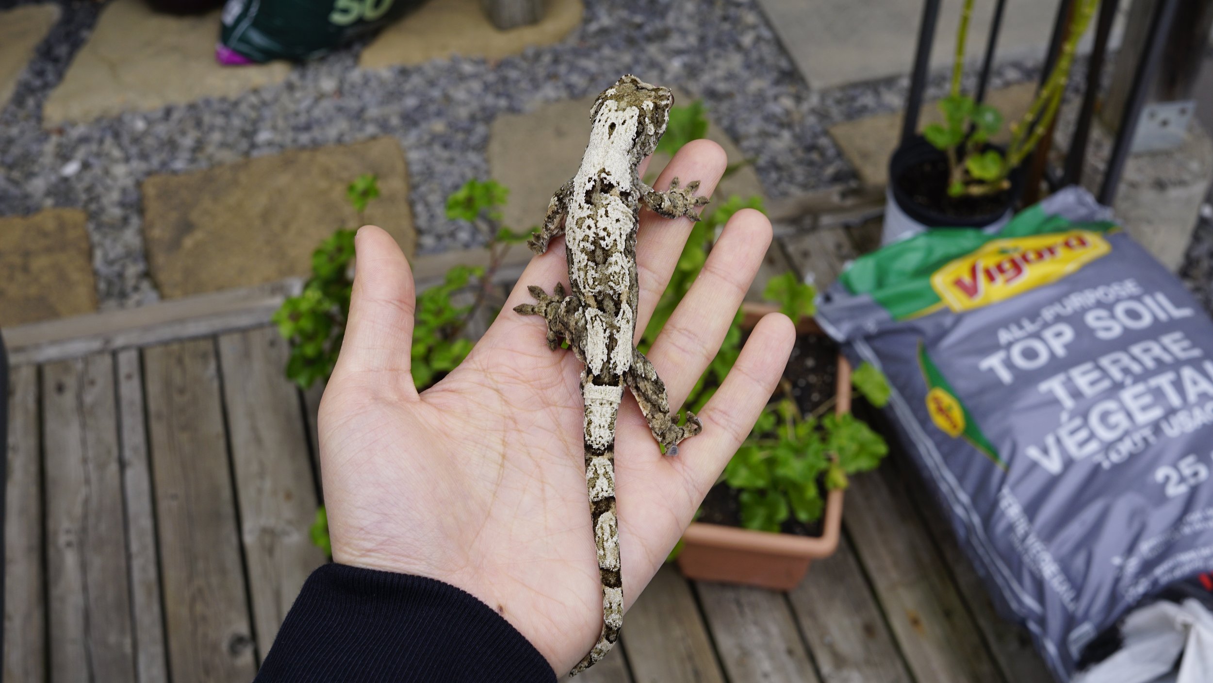_DSC3208.jpeg