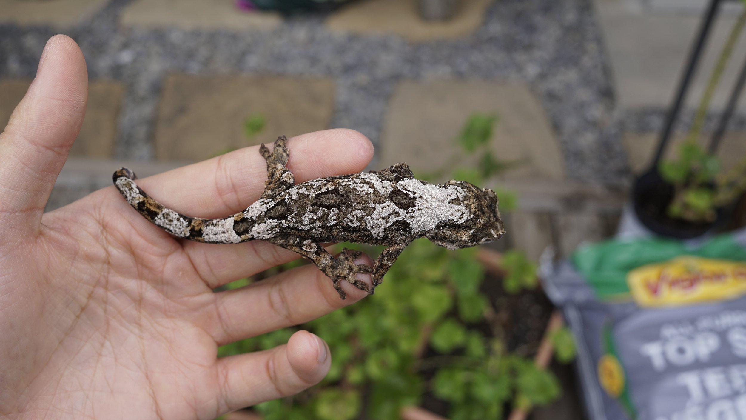_DSC3191.jpeg