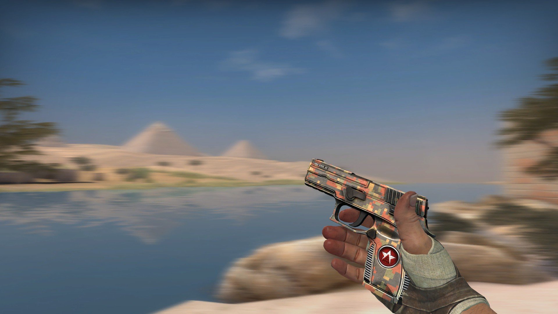  P250 | Red Rock 