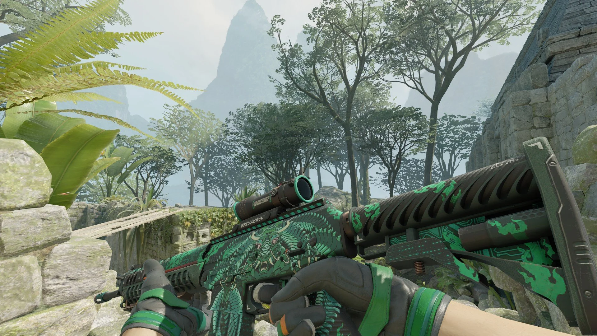 SG 553 Dragon Tech