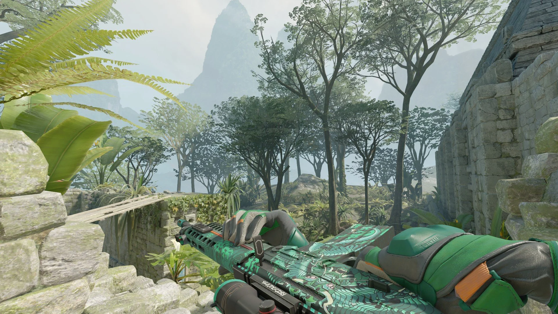 SG 553 Dragon Tech