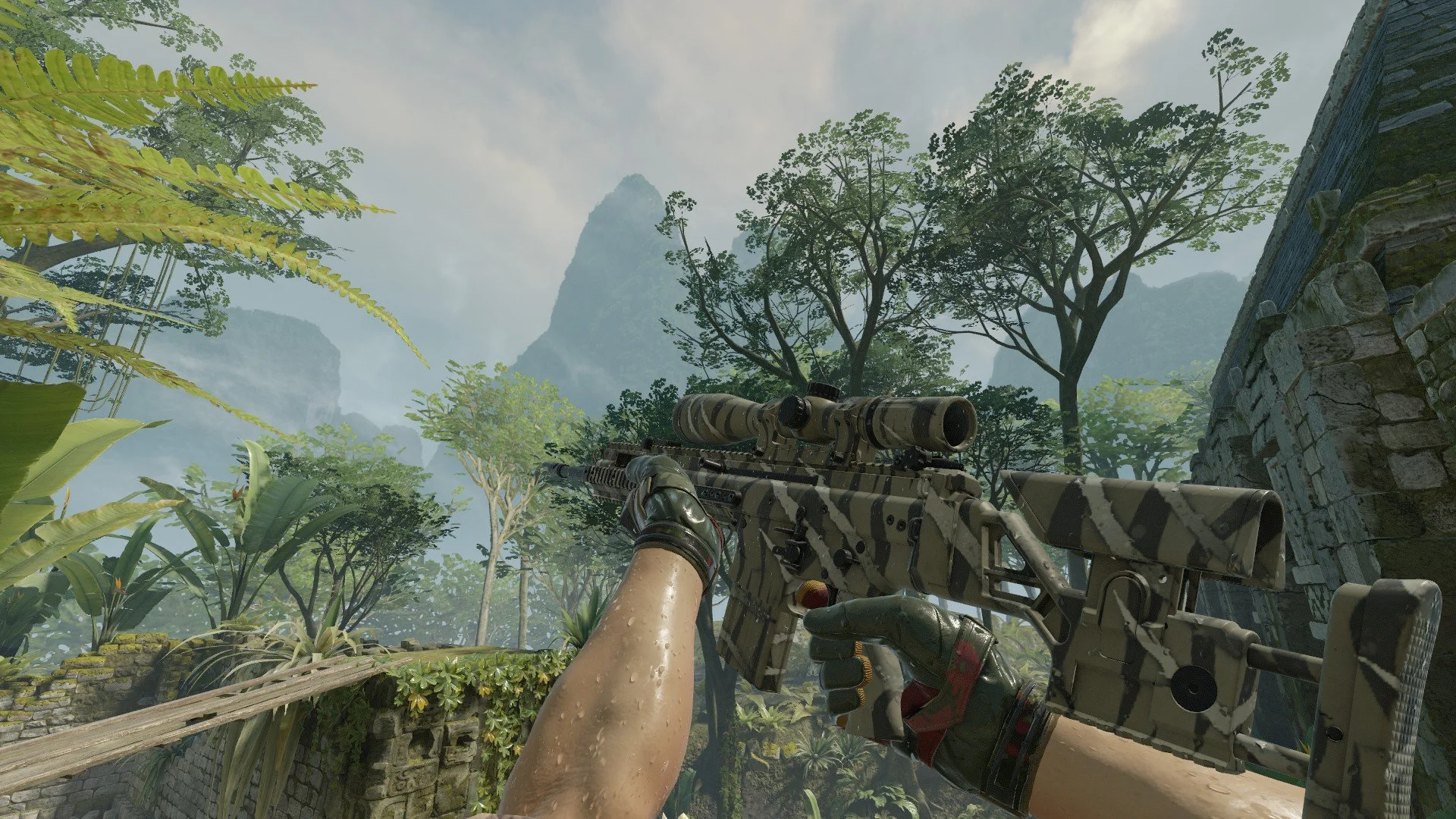 SCAR-20 Torn