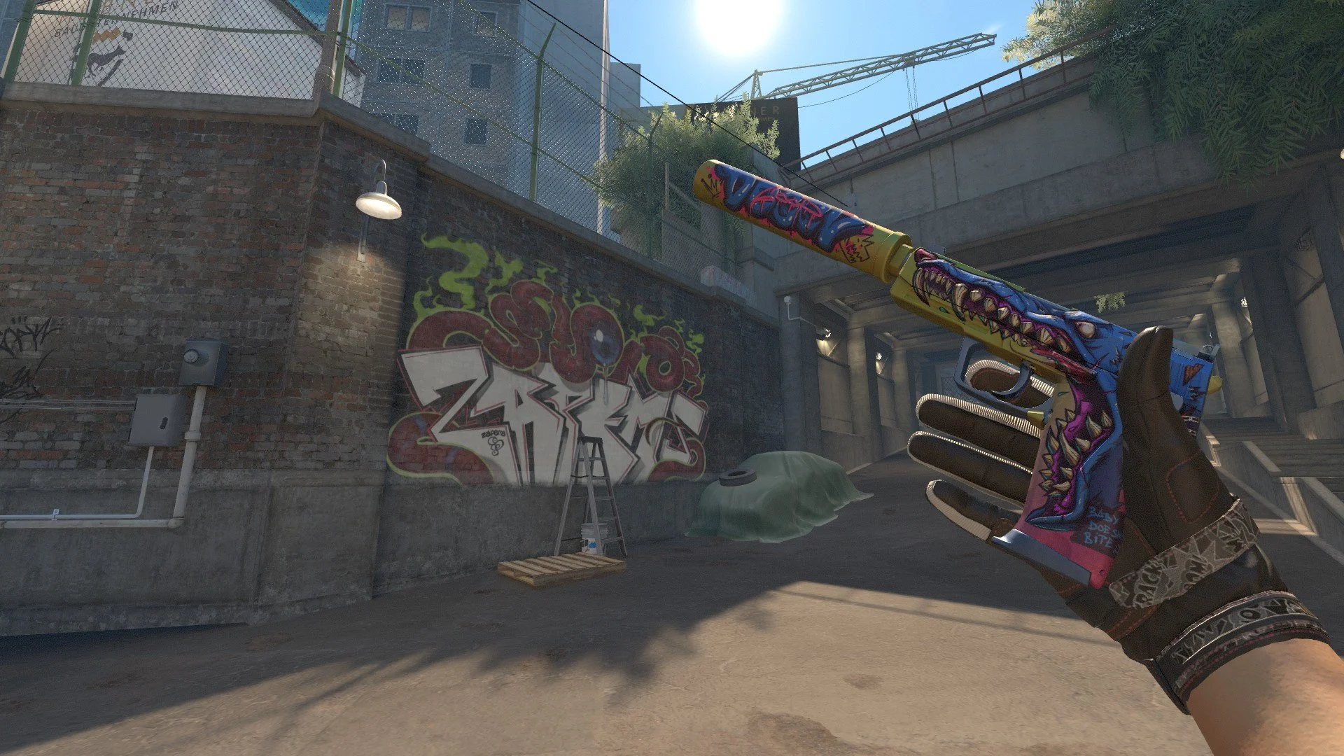 USP-S Jawbreaker