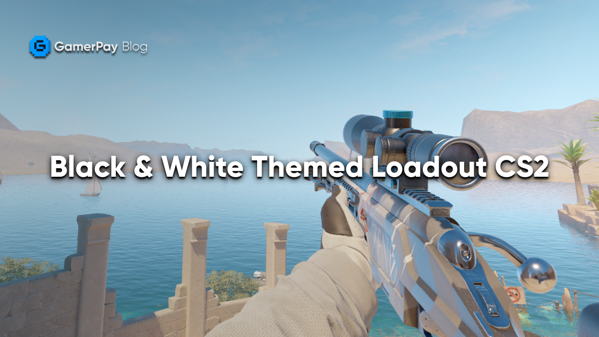 Best Black and White CS2 Skins for a Clean Loadout (Budget Friendly)