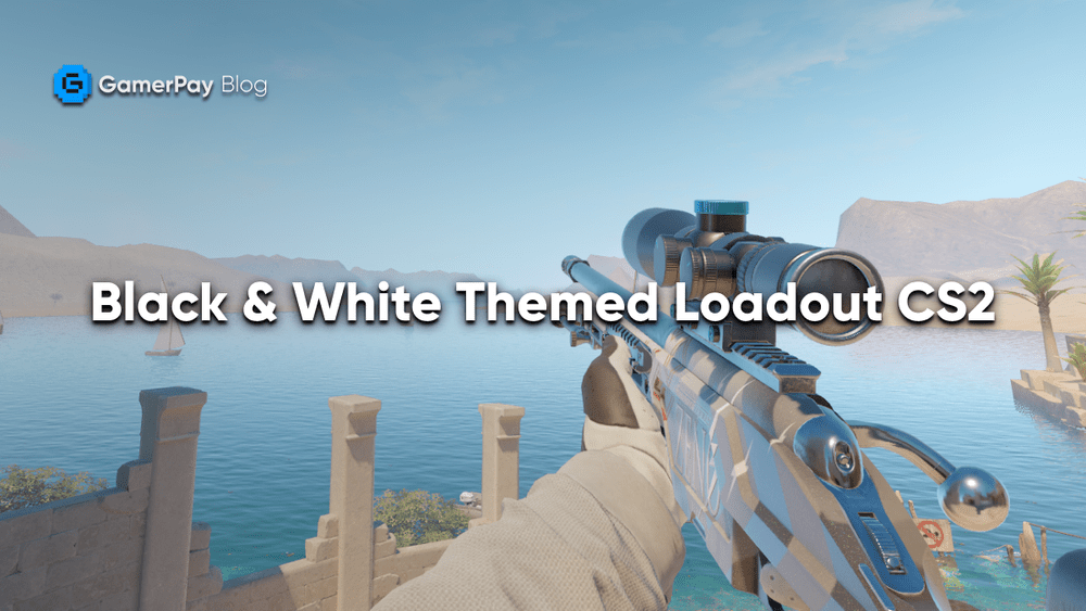 Best Black and White CS2 Skins for a Clean Loadout (Budget Friendly ...
