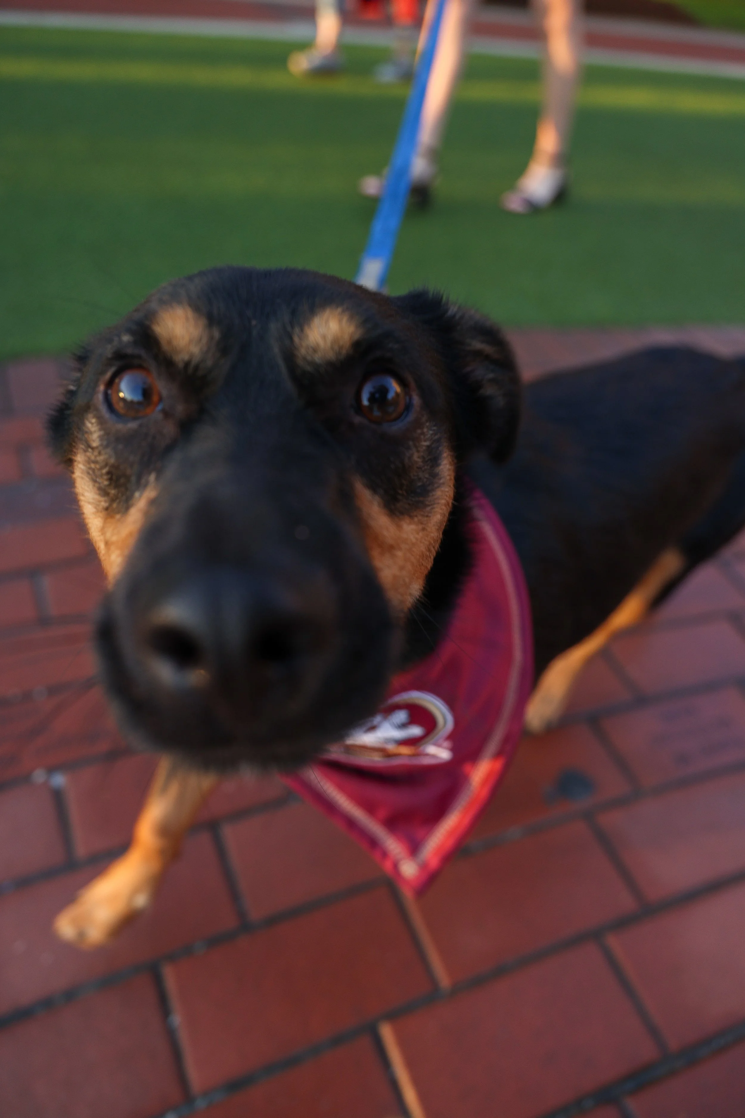 Happy Graduation Evelyn-34.jpg