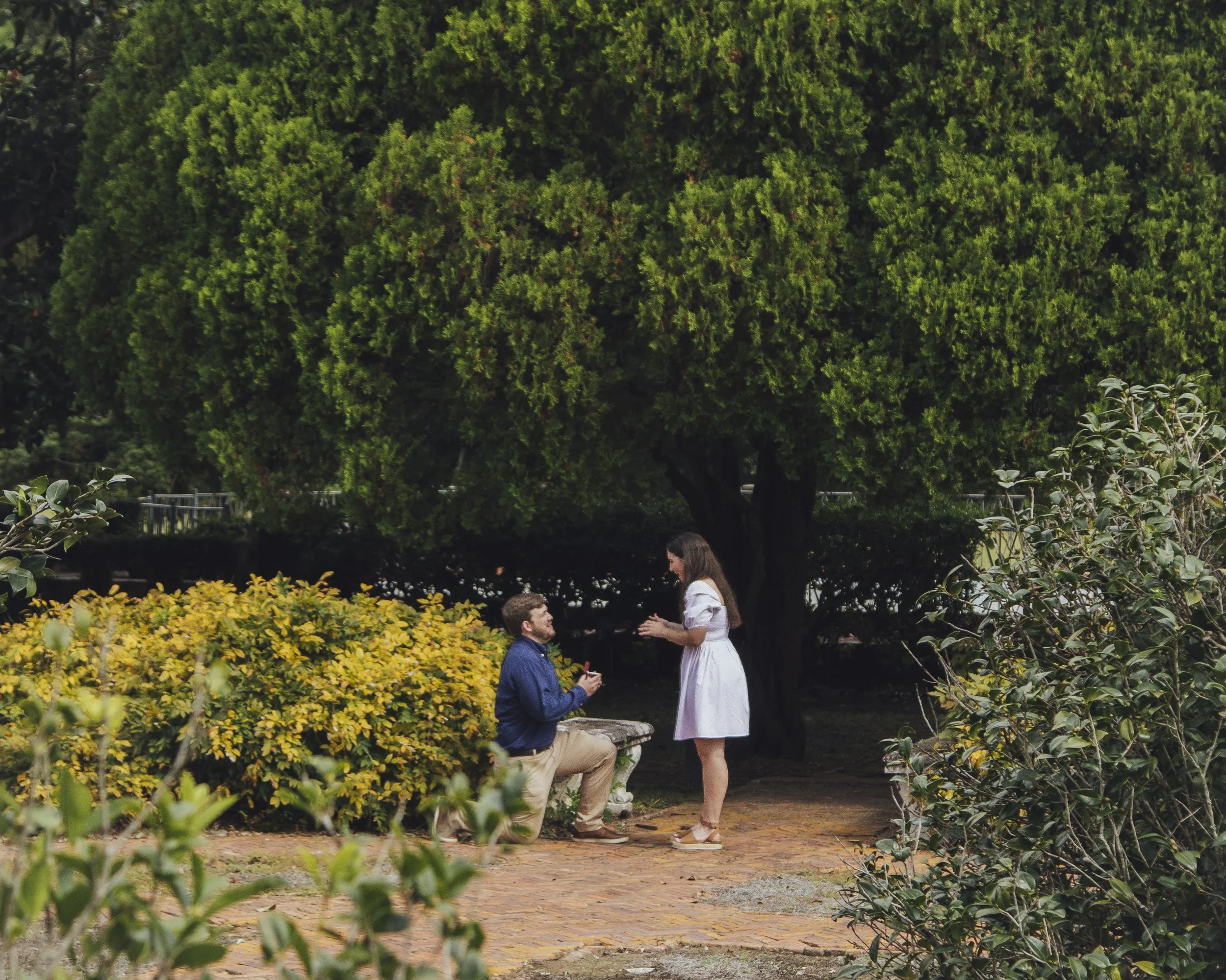 Congratulations Chapman and Lauren!-3.jpg