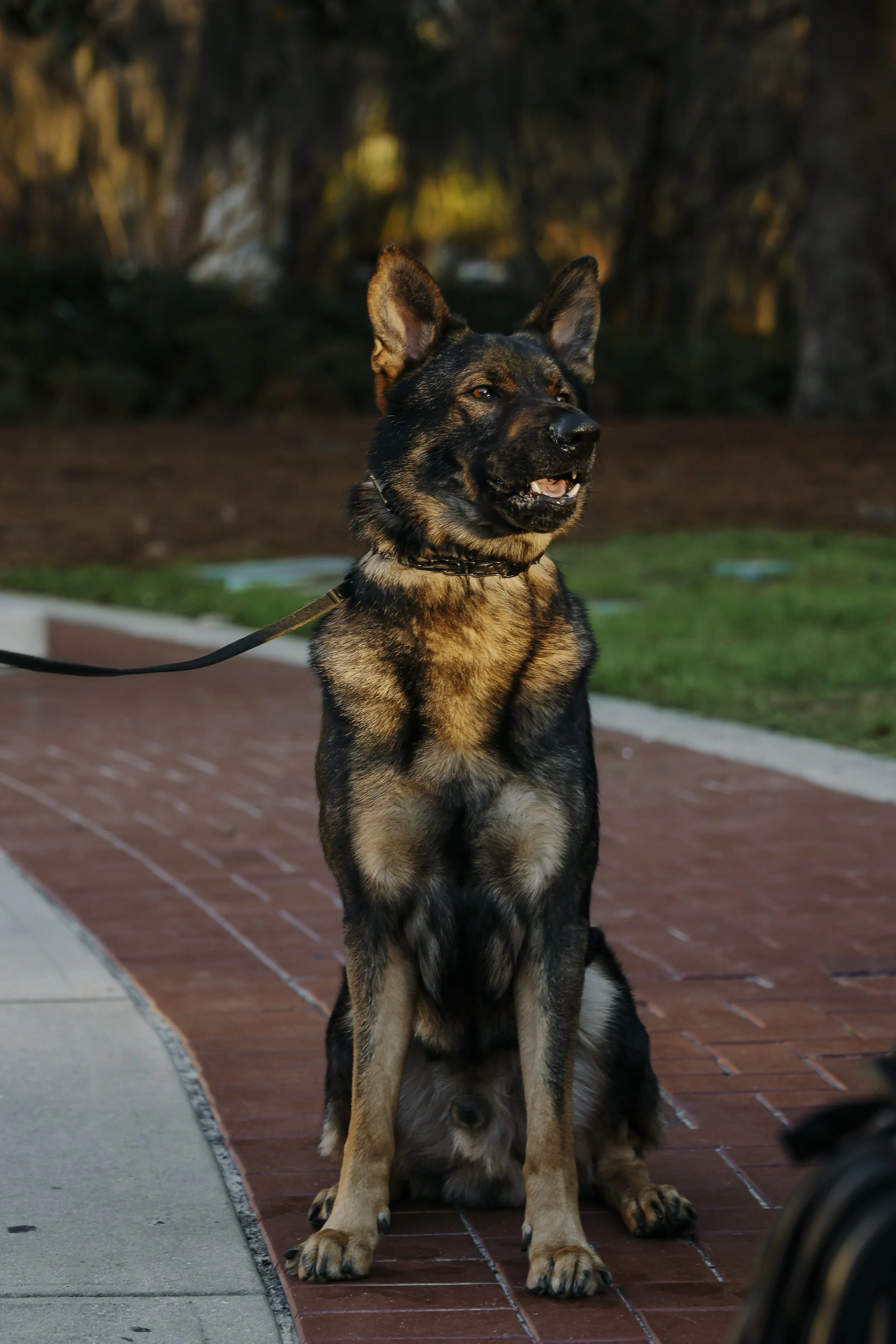 Happy Graduation Annika and Evan!-1.jpg