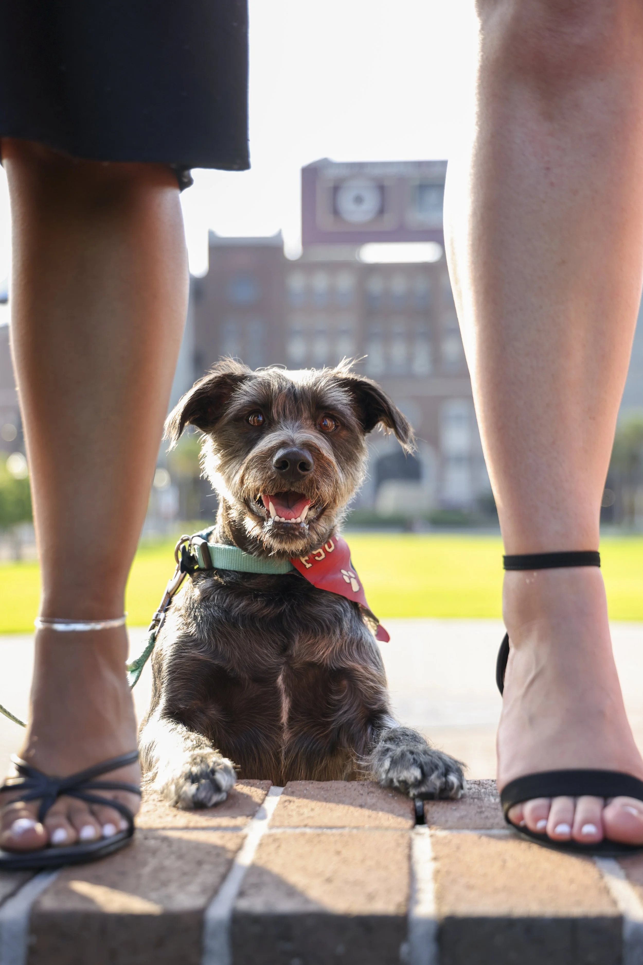 Happy Graduation Aliya!-28.jpg