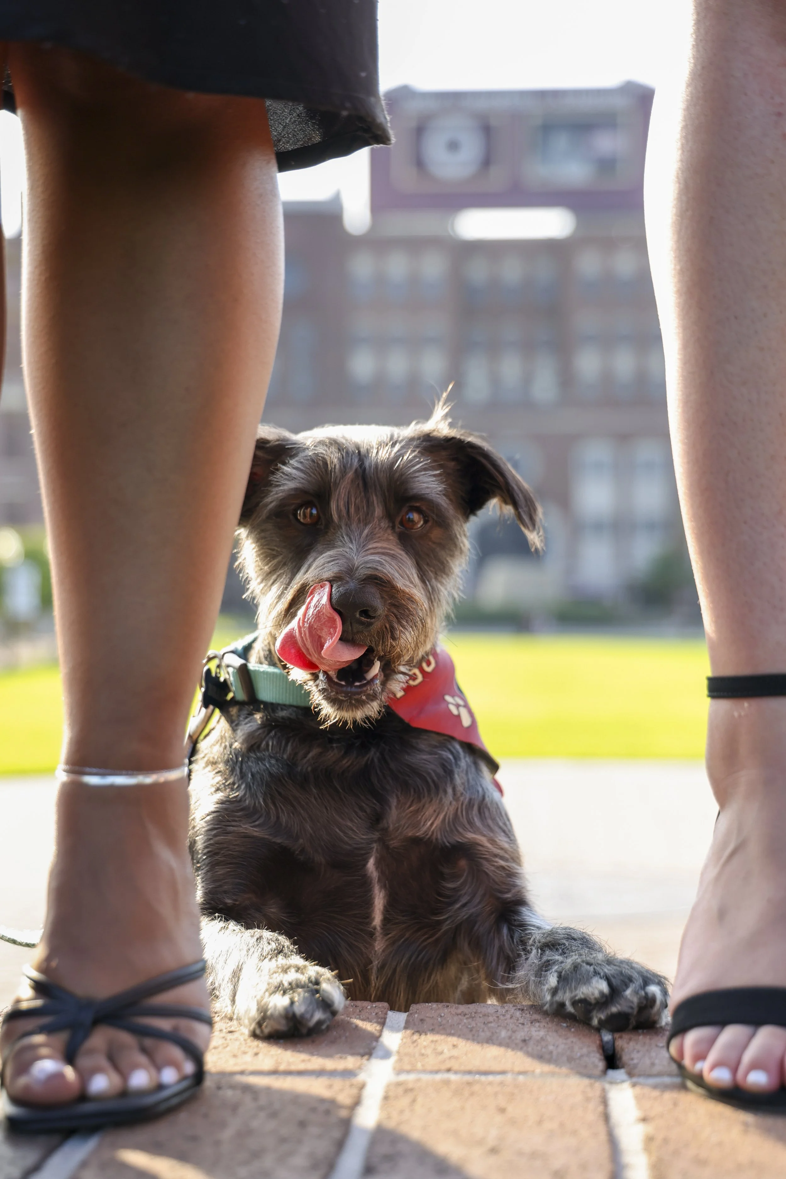 Happy Graduation Aliya!-27.jpg