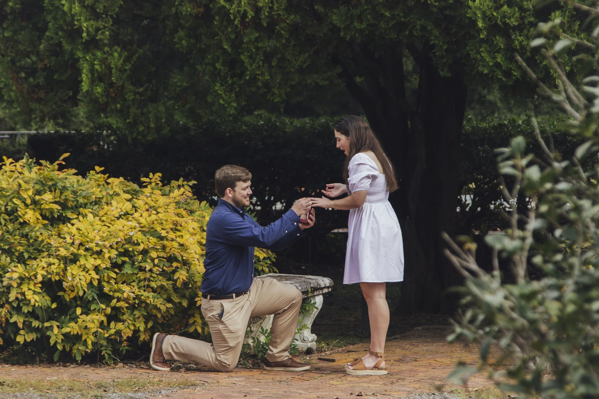 Congratulations Chapman and Lauren!-4.jpg