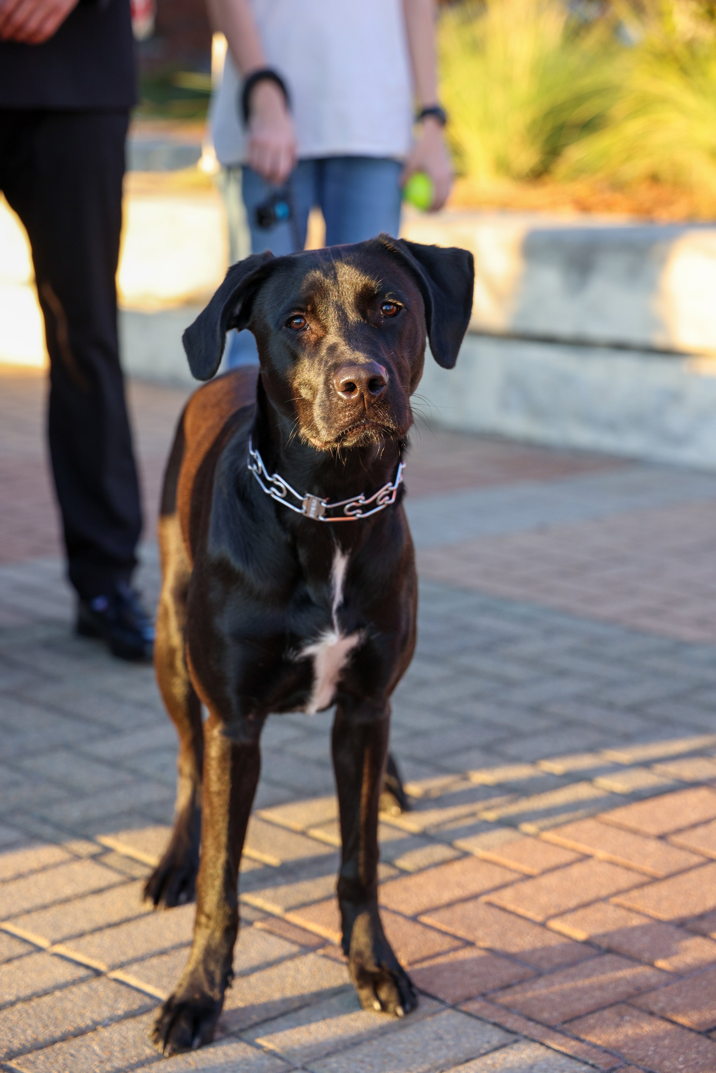 Happy Graduation Jalen!-65.jpg