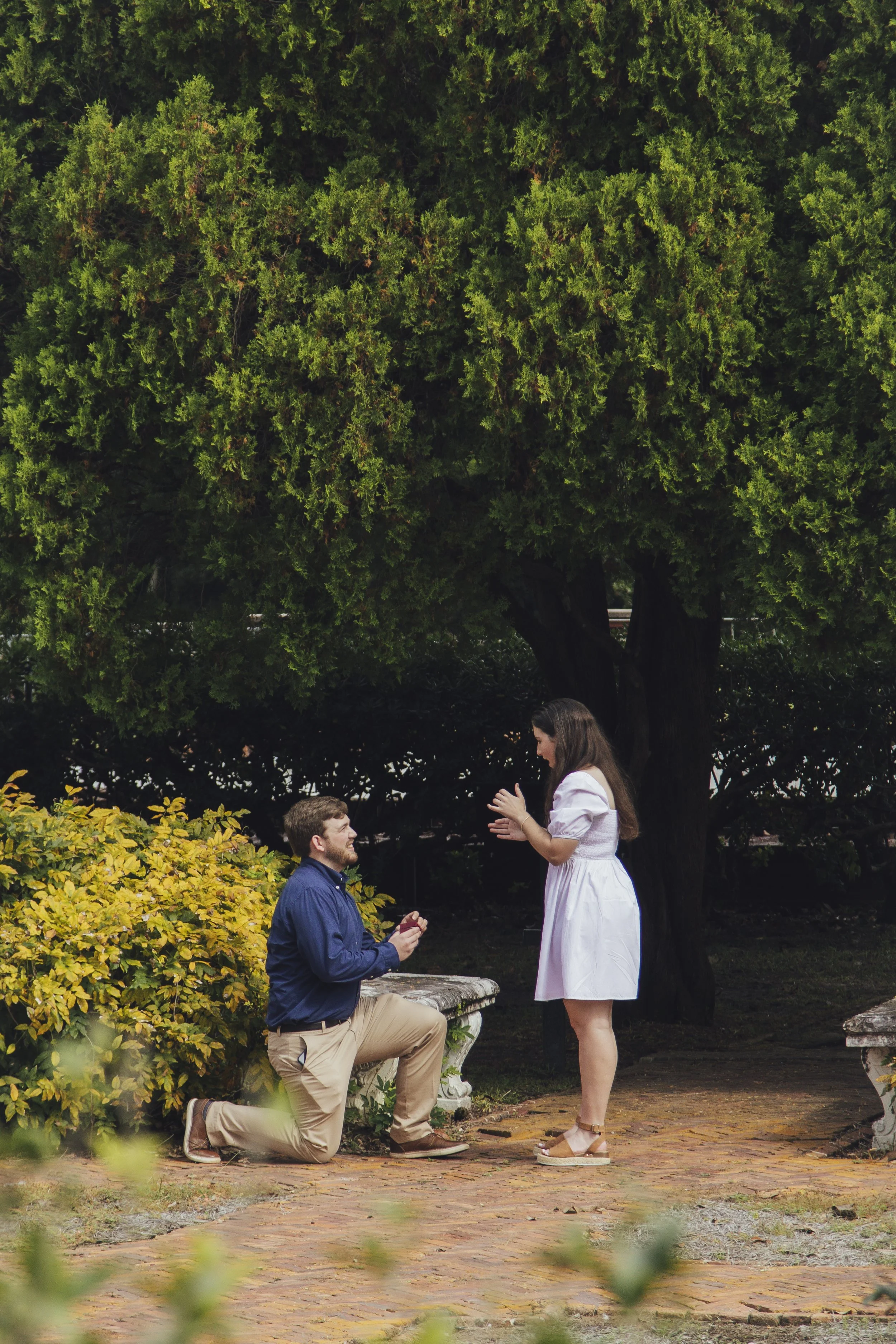 Congratulations Chapman and Lauren!-2.jpg