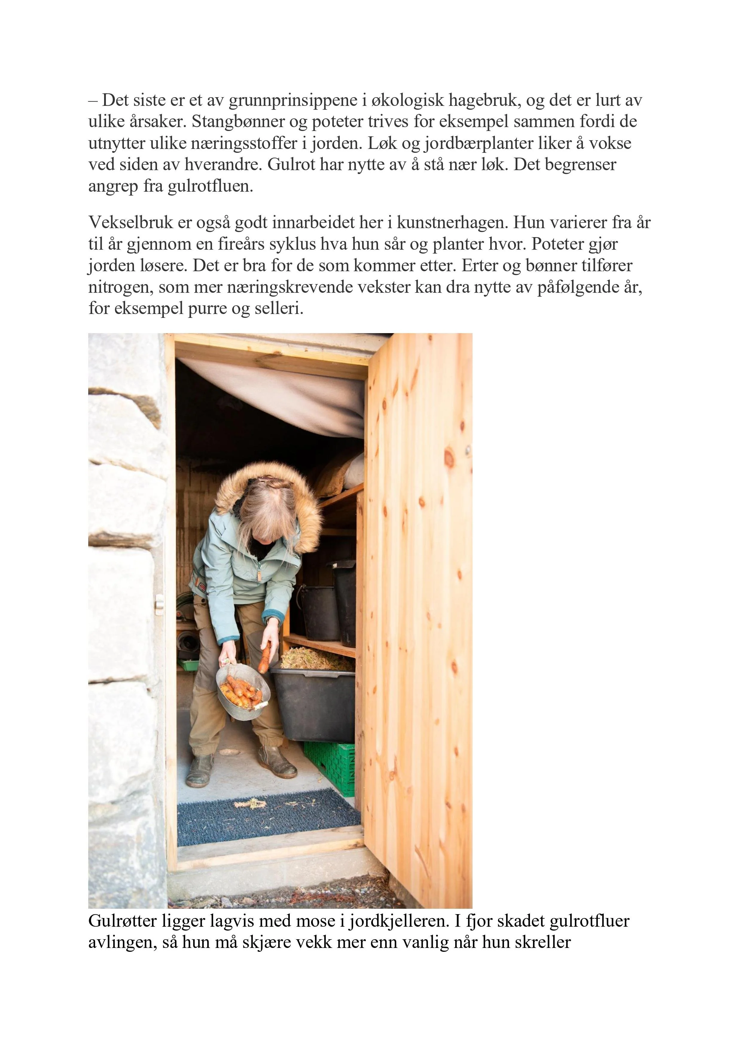 Aftenposten_01.04.22_bolig_Selvforsynt_med_├©kologiske_gr├©nnsaker,_urter_og_b├ªr_3-images-4[1].jpg
