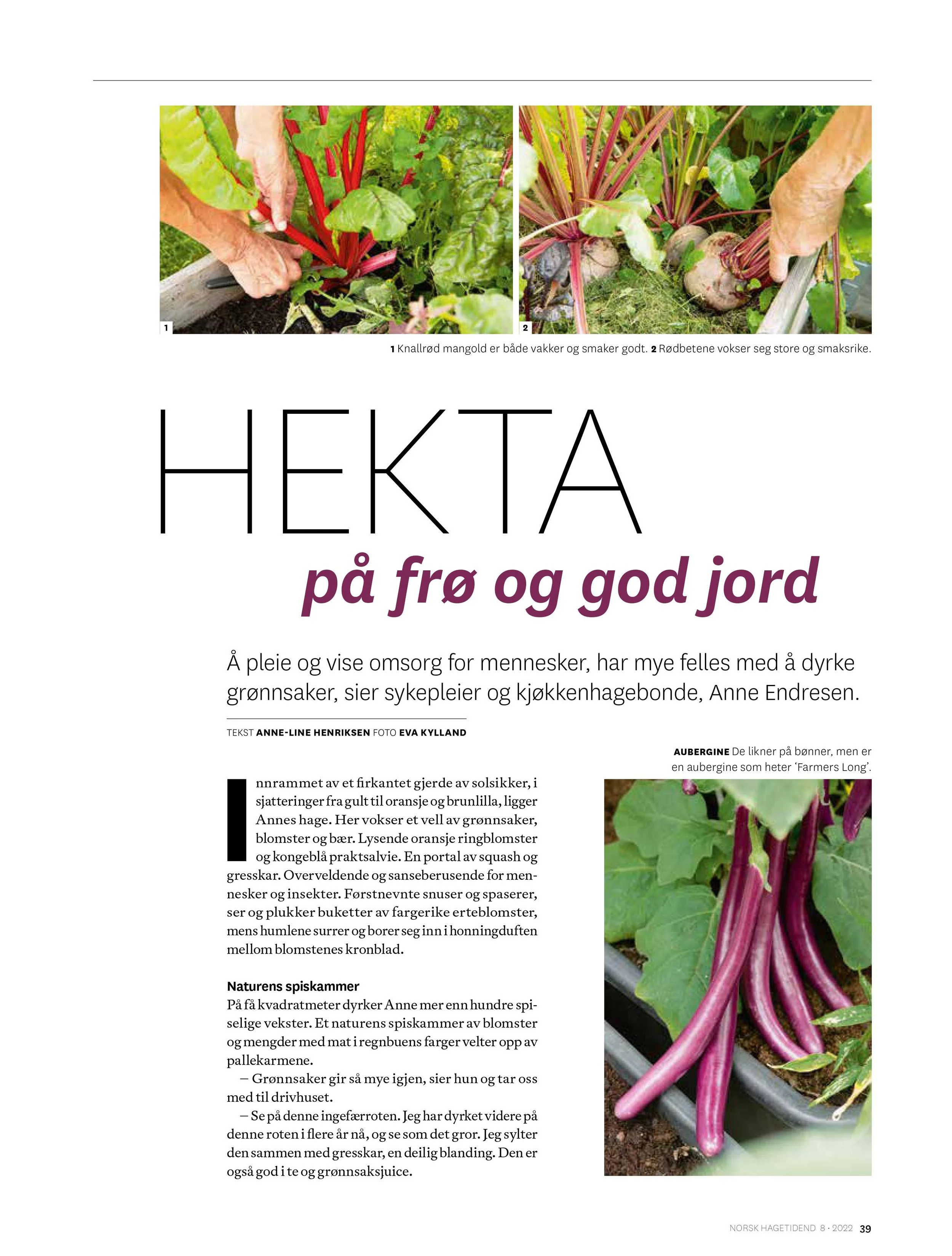 HTAnne_Endresen-images-1.jpg