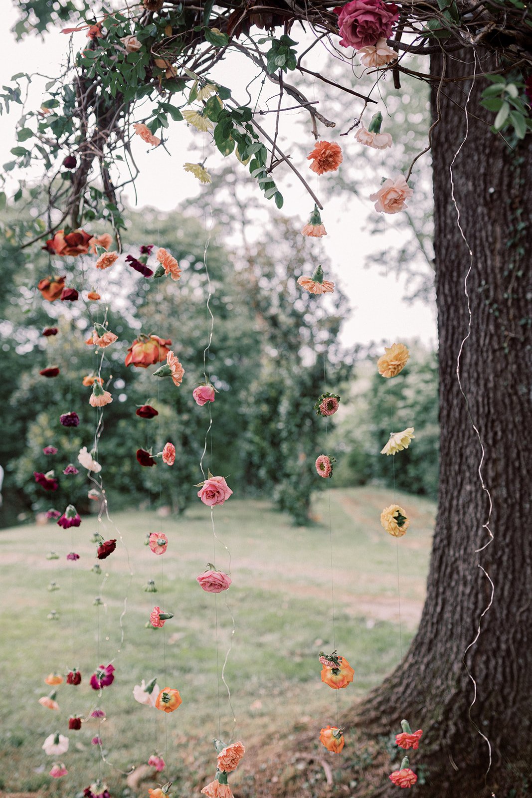 audra-jones-photography-wollam-gardens-wedding-krisztina-eric-8.jpg