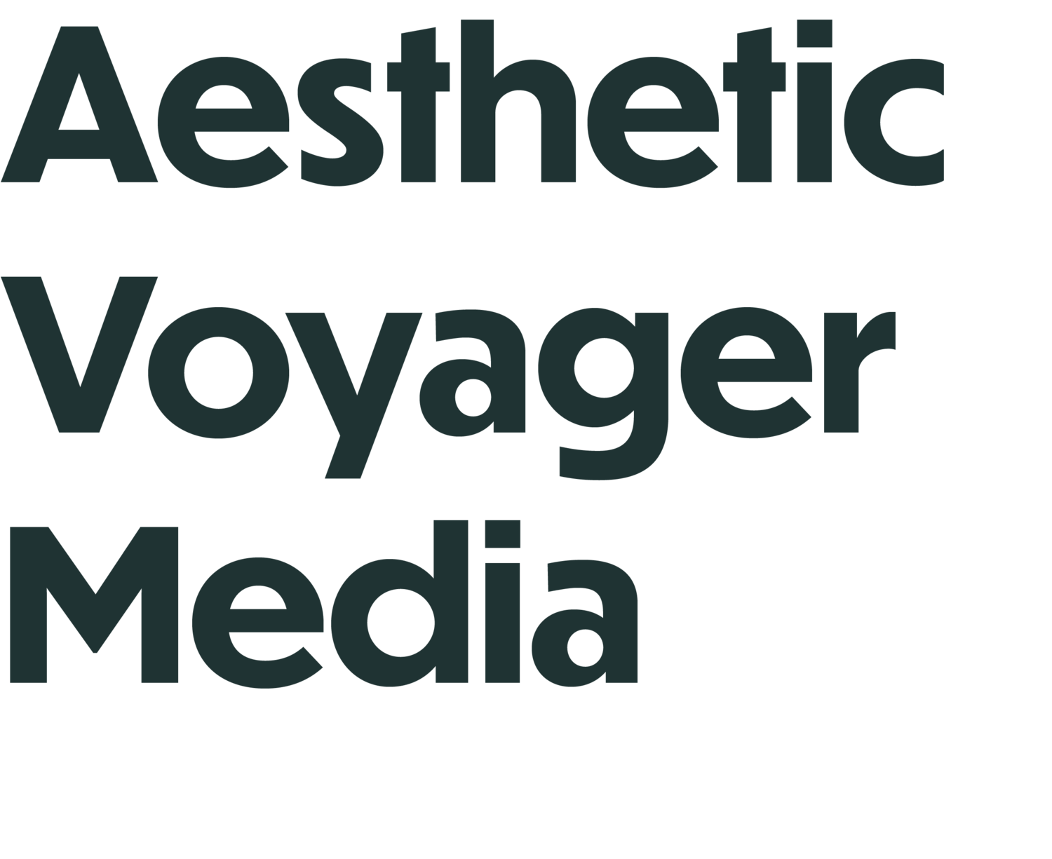 Aesthetic Voyager Media