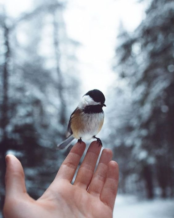 Slowing down before new beginnings.