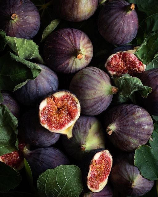 My PCOS Healing Journey 