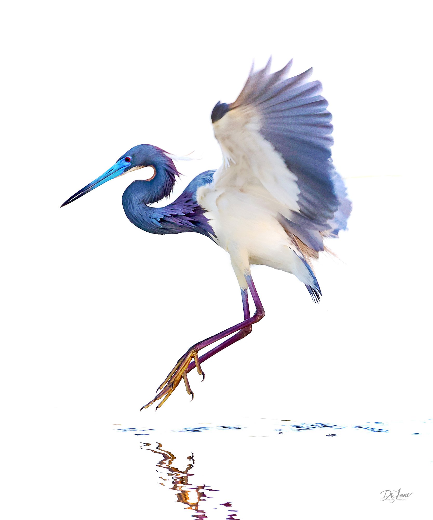 Coming in for a Landing