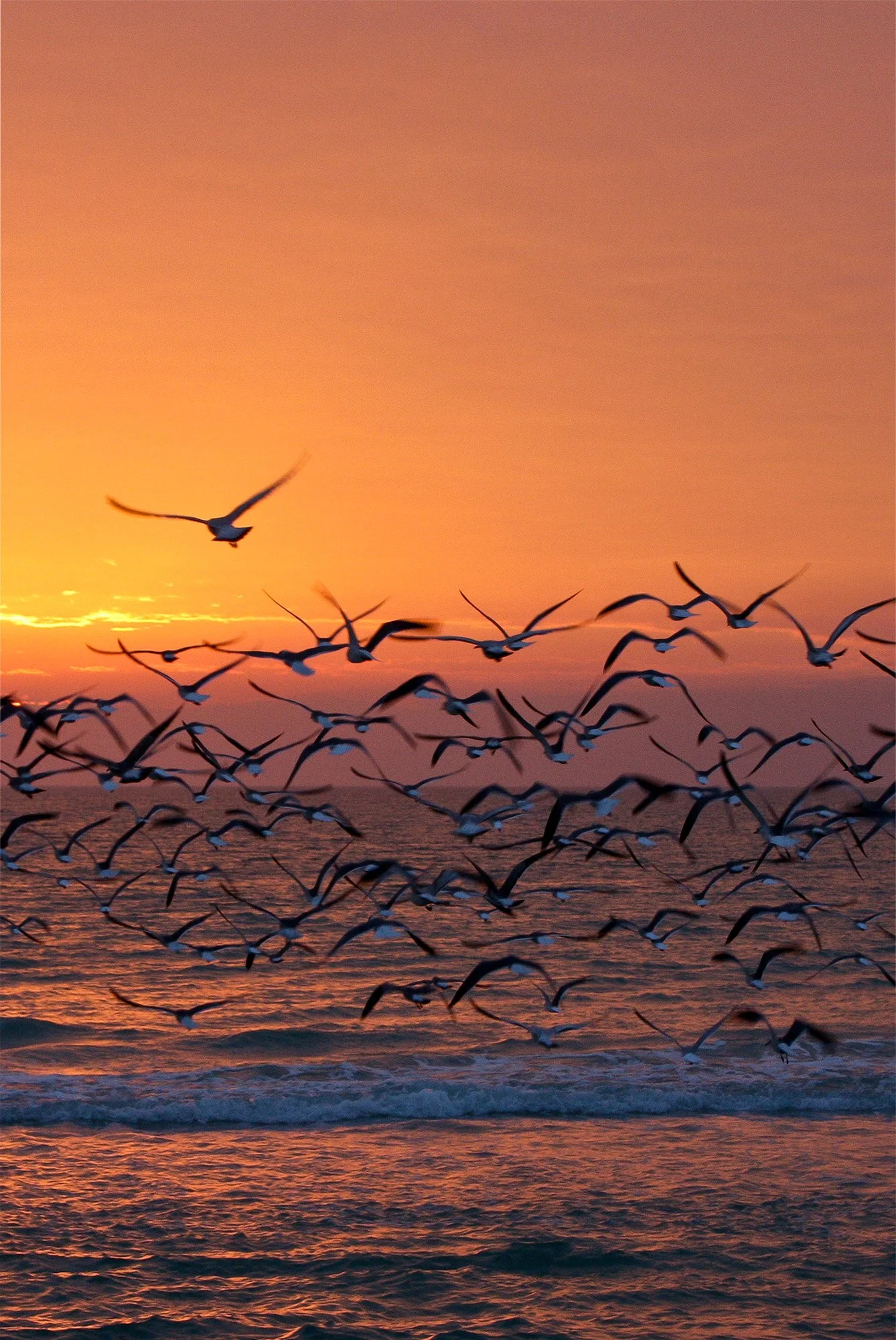 Sunset Lift Off