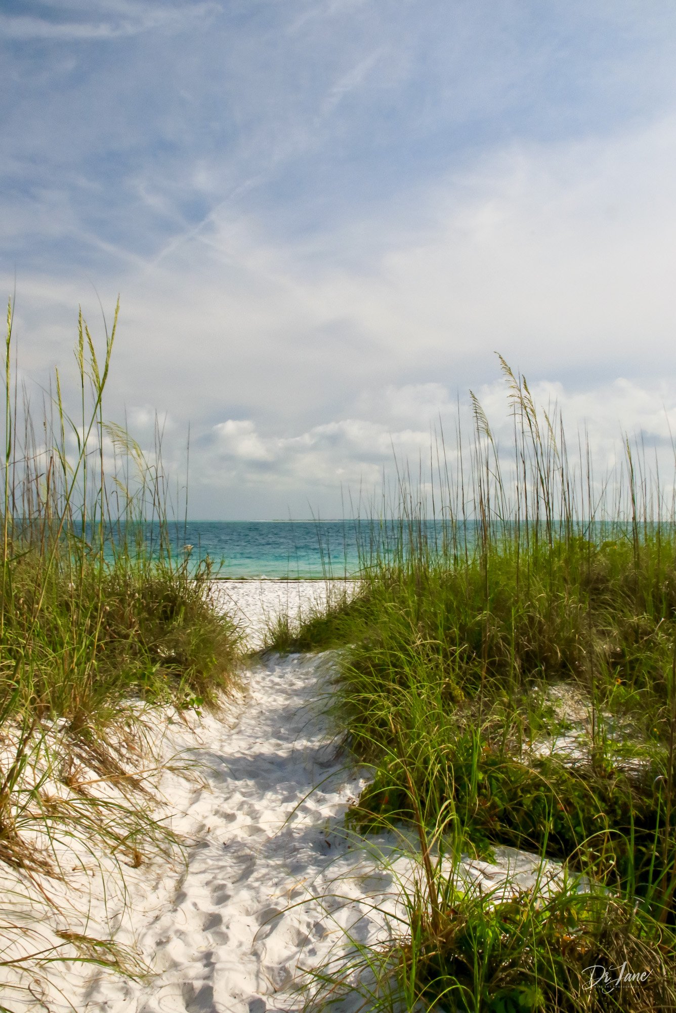 Beach Walkway